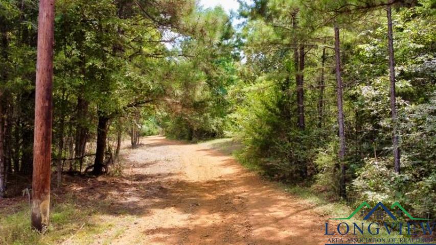 1317 N Main, Linden, Texas image 4