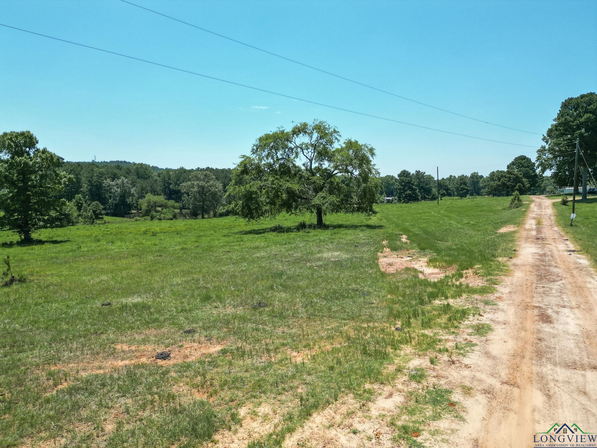 TBD Firetower Rd, Hallsville, Texas image 7