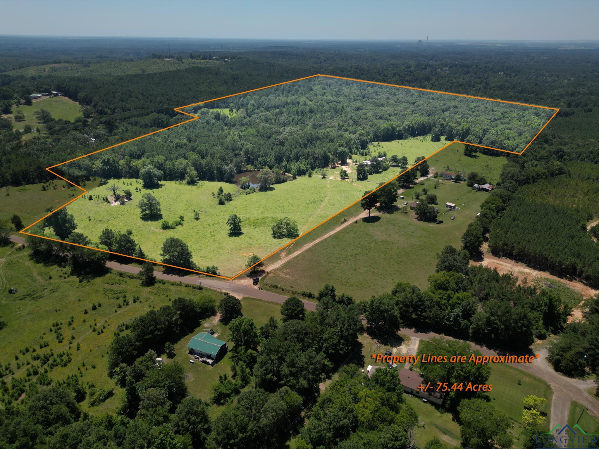 TBD Firetower Rd, Hallsville, Texas image 10