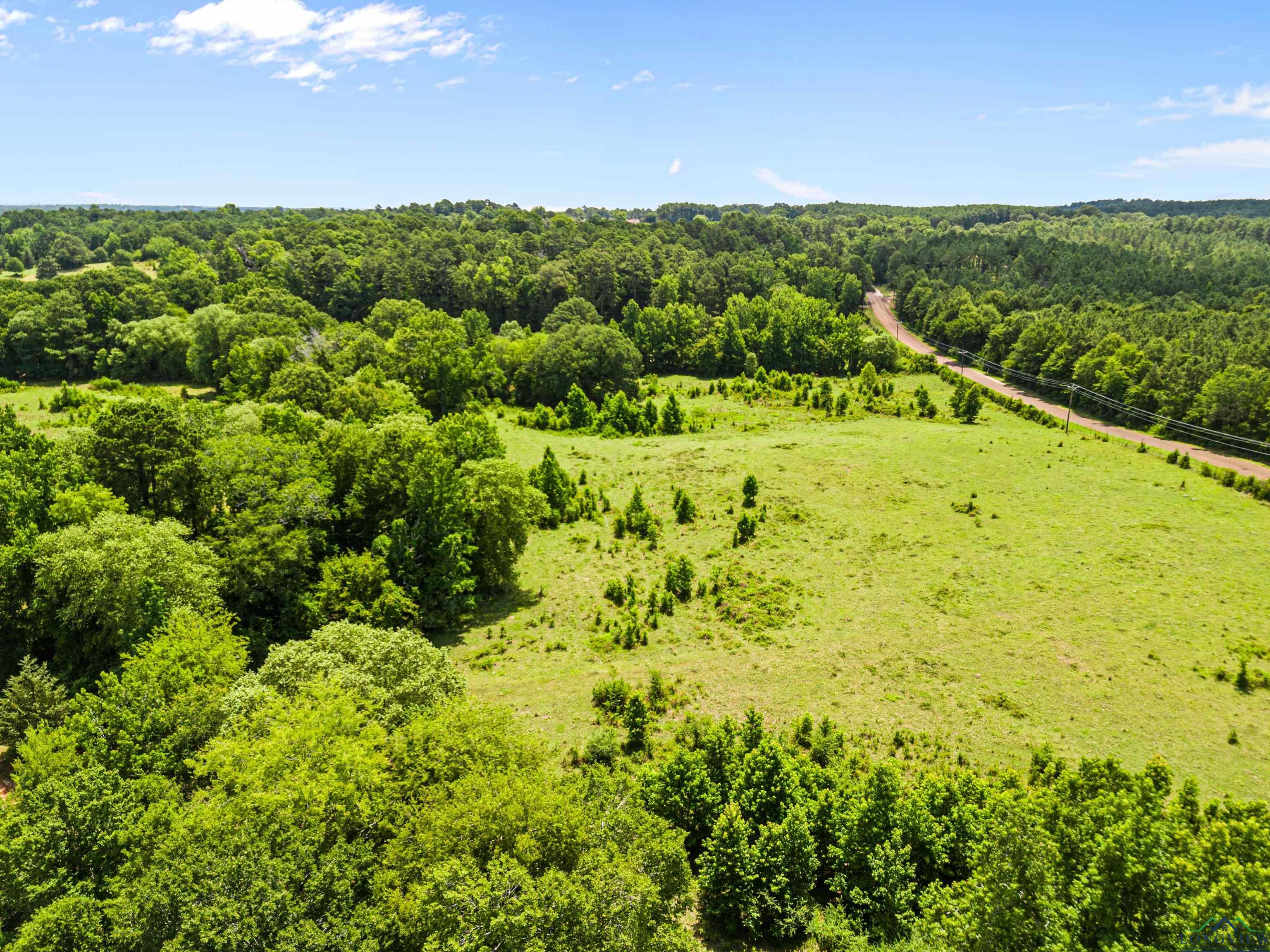 TBD Simmons Road, Diana, Texas image 6