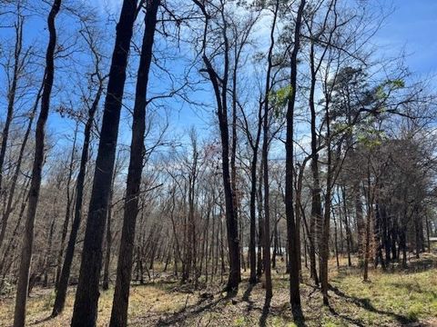 Vacant Land For Sale - TBD An County Road 319<br/> Frankston, TX 75763