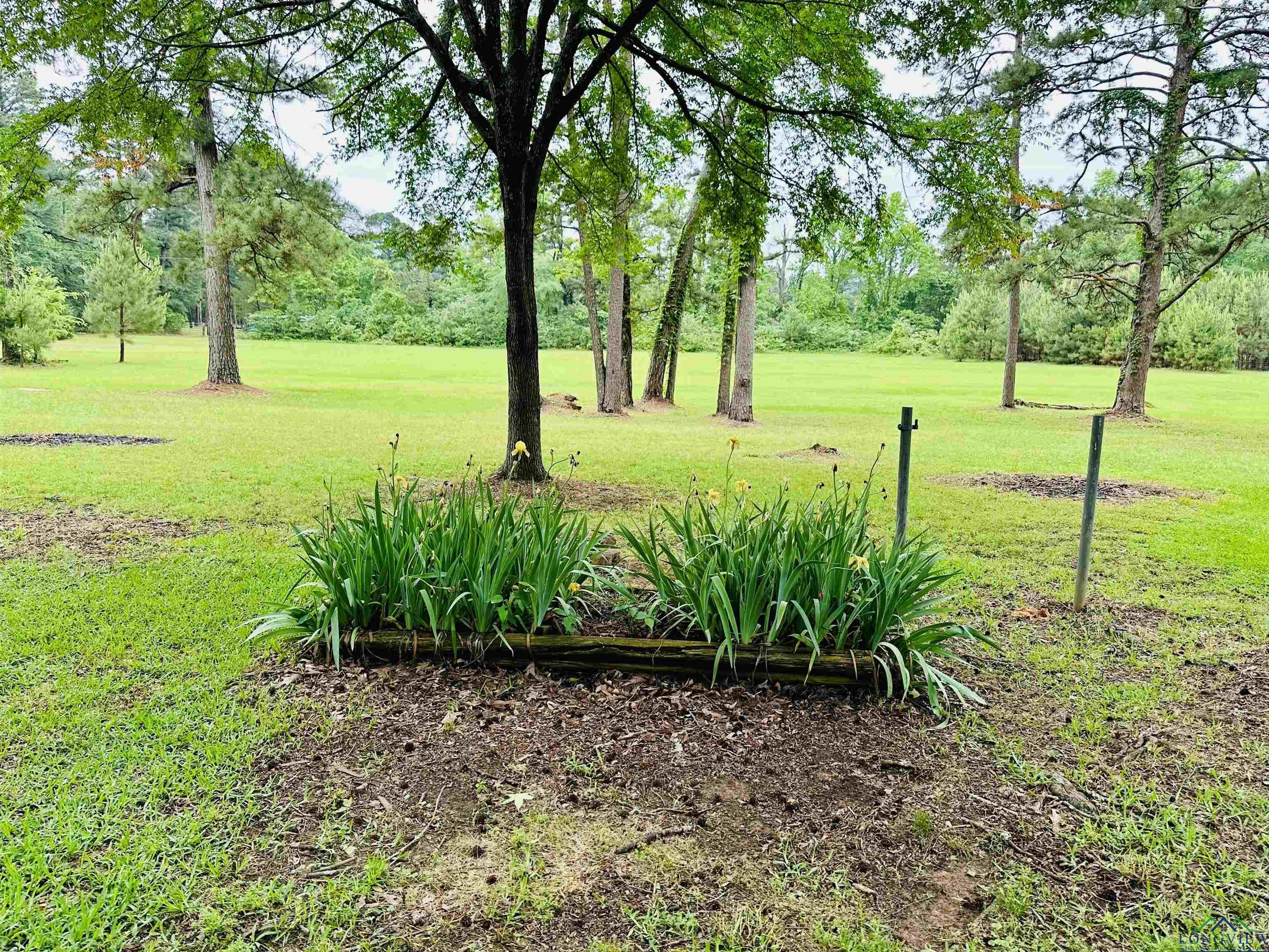 282 Cr 1404, Jacksonville, Texas image 25