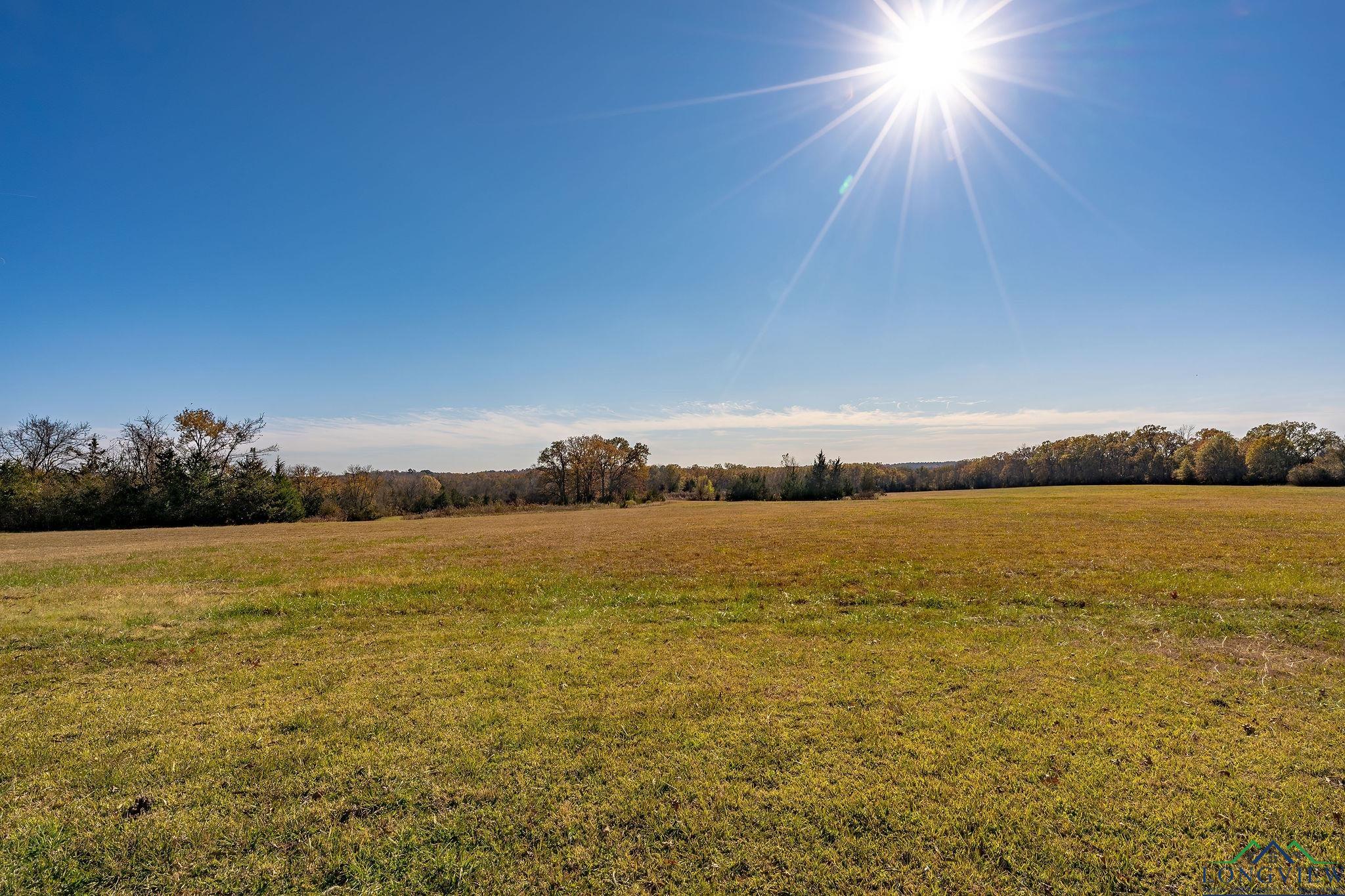 9118 E Hwy 82, Annona, Texas image 41