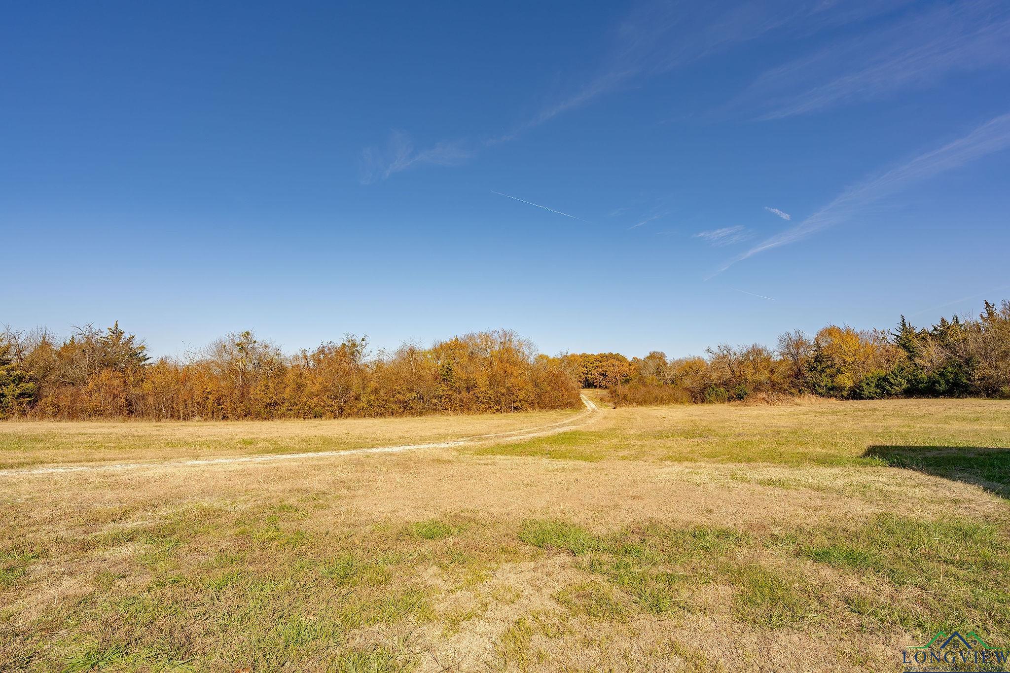 9118 E Hwy 82, Annona, Texas image 6