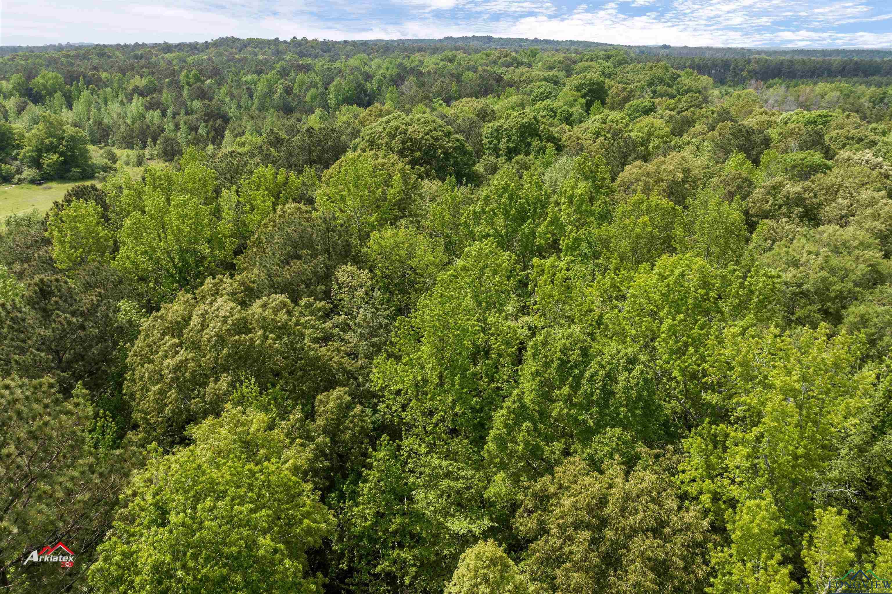 TBD County Road 3406, Jefferson, Texas image 10