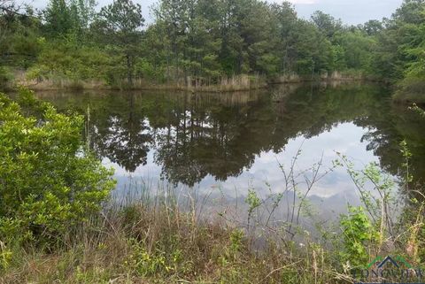 Vacant Land For Sale - 29 AC Cr 3321<br/> Harrison County, Longview, TX 75602