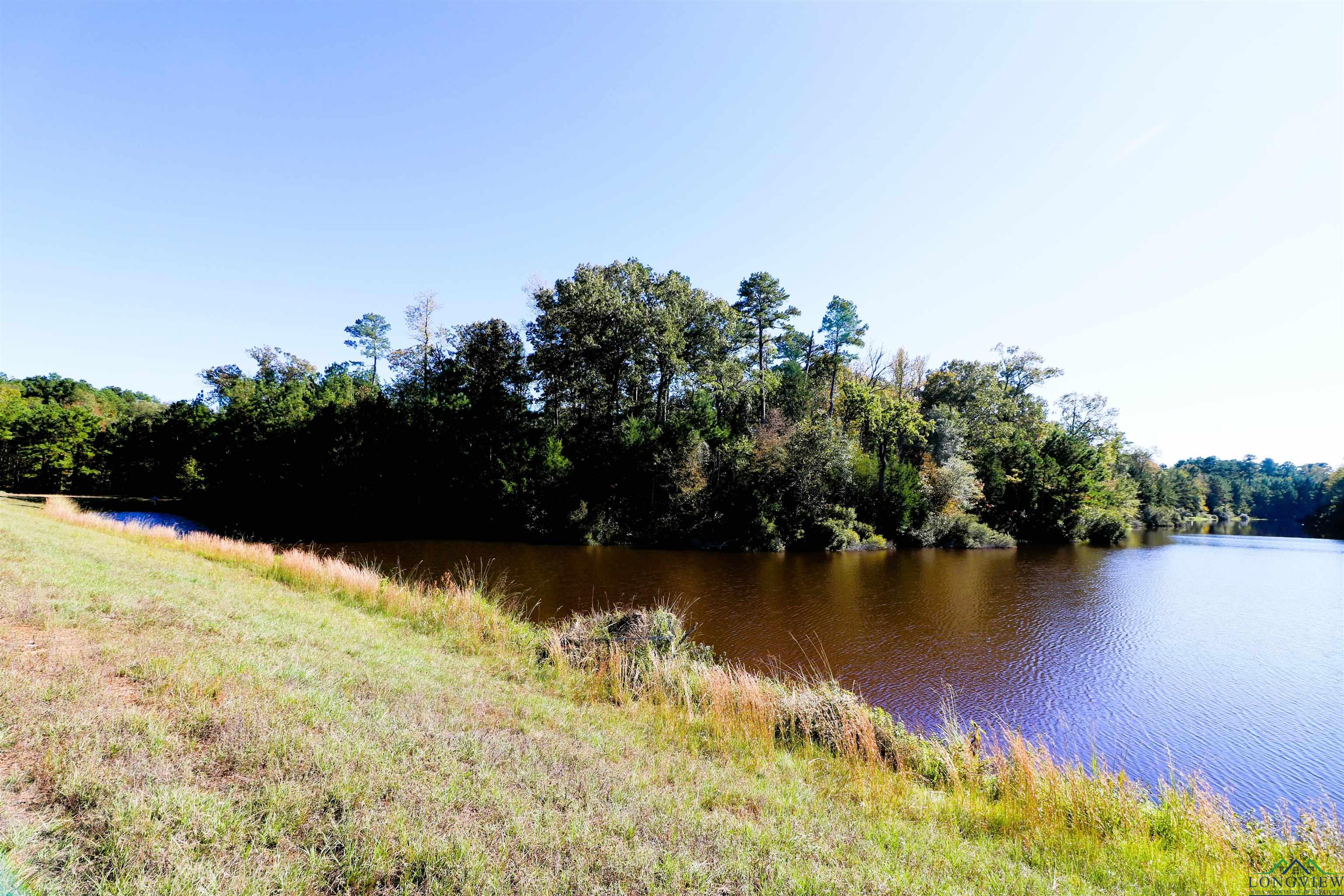 Lot 6 Princess Lane, Gilmer, Texas image 16