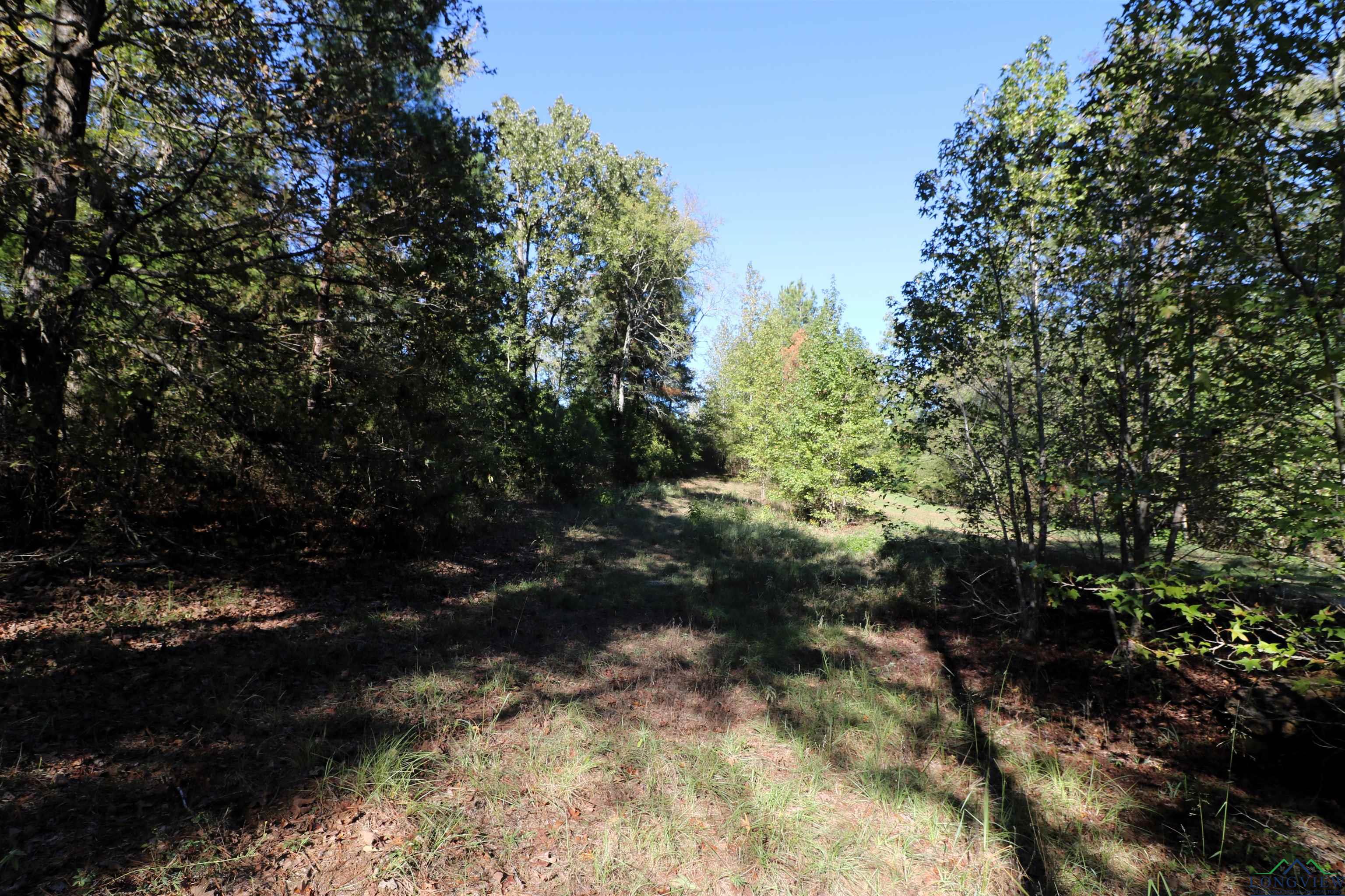 Lot 6 Princess Lane, Gilmer, Texas image 12