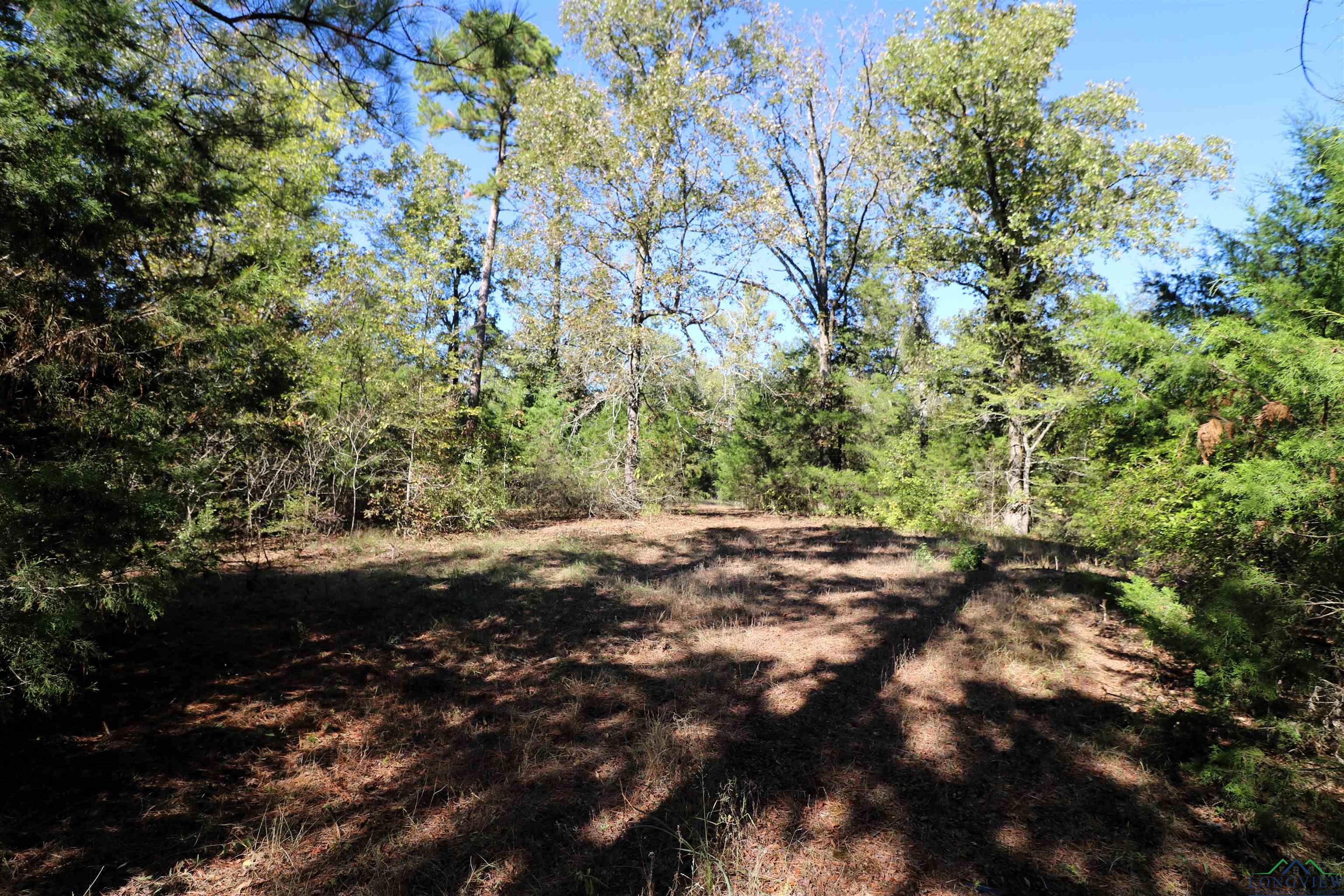 Lot 6 Princess Lane, Gilmer, Texas image 11