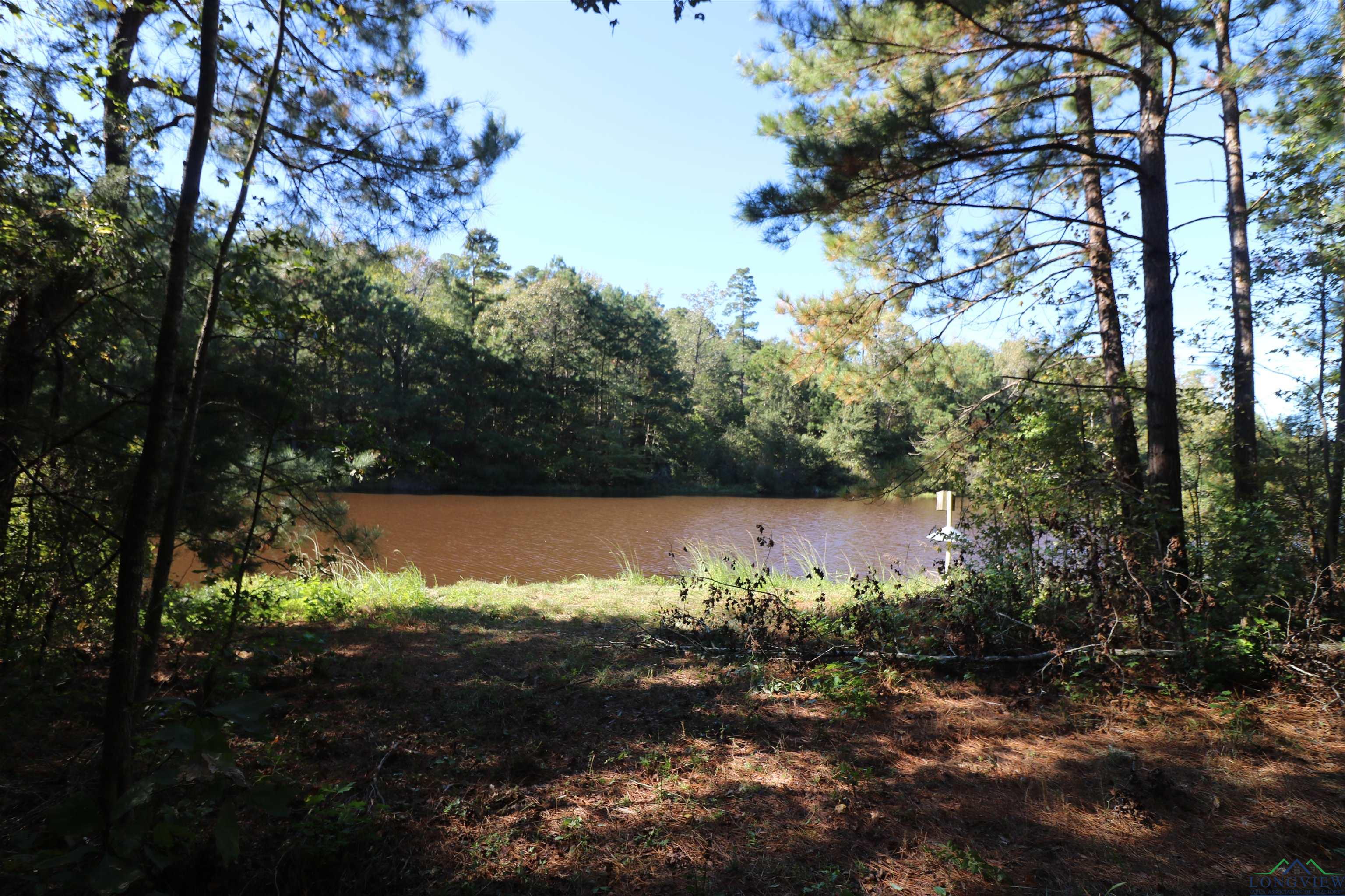 Lot 6 Princess Lane, Gilmer, Texas image 18