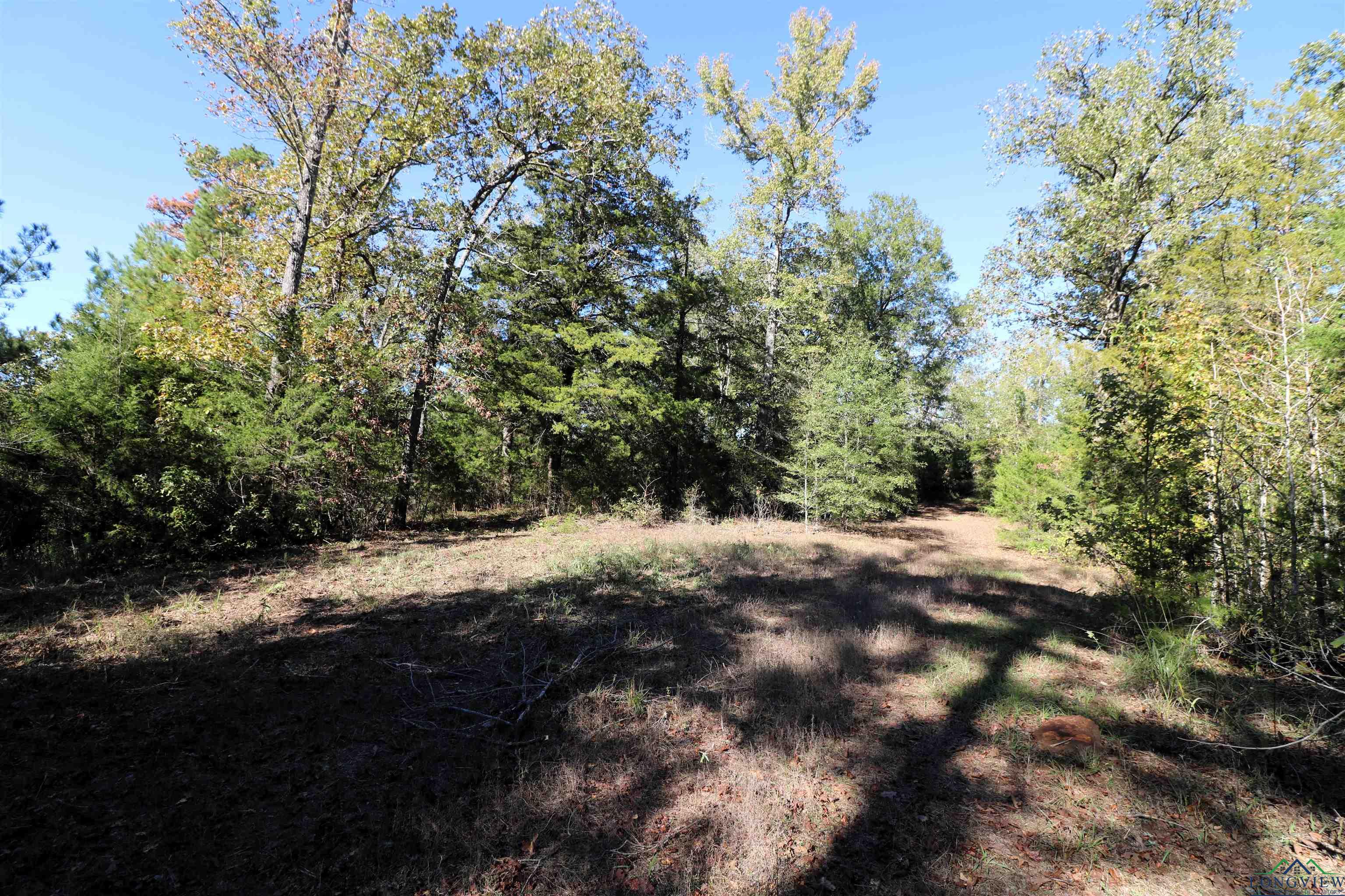 Lot 6 Princess Lane, Gilmer, Texas image 14