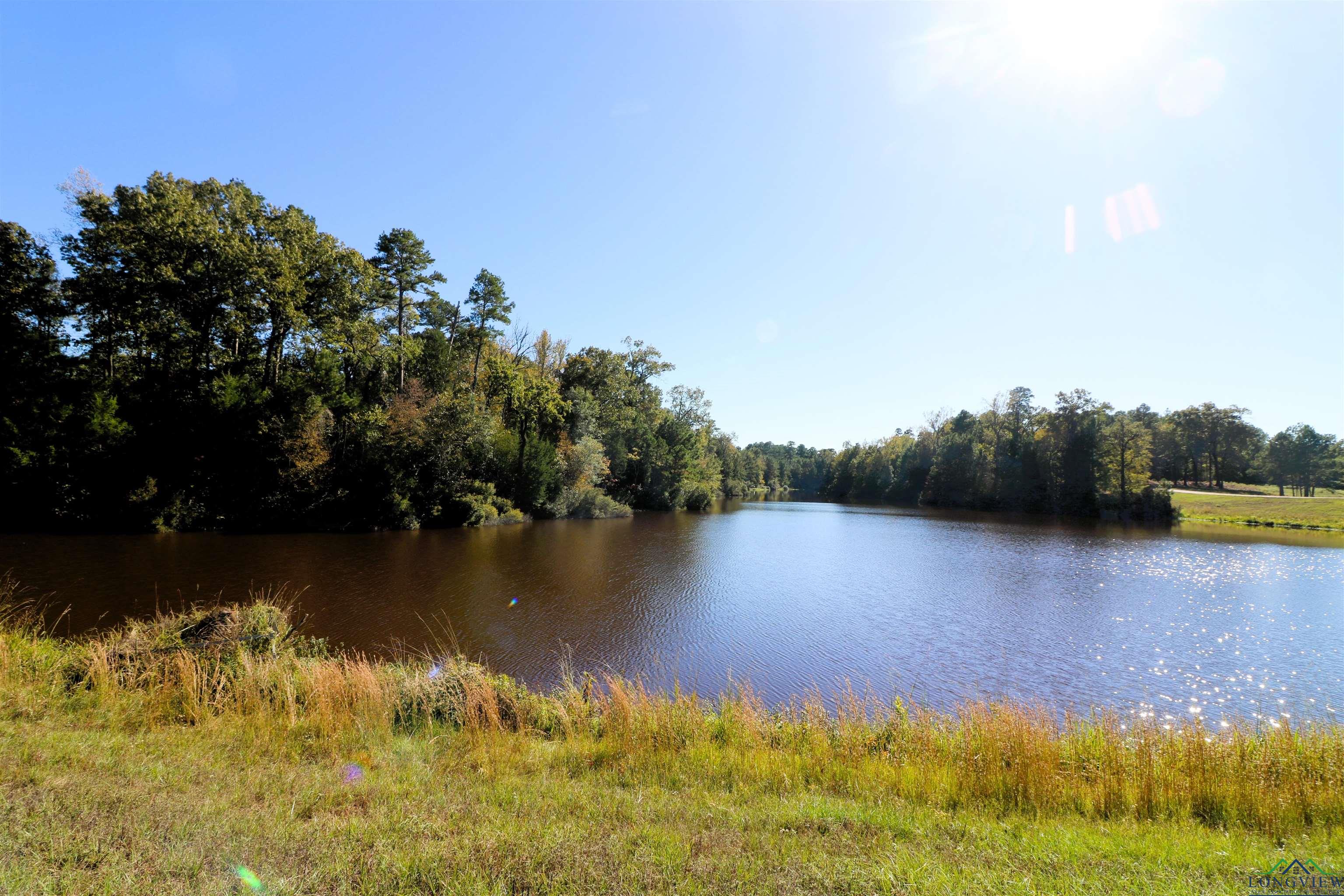 Lot 6 Princess Lane, Gilmer, Texas image 17