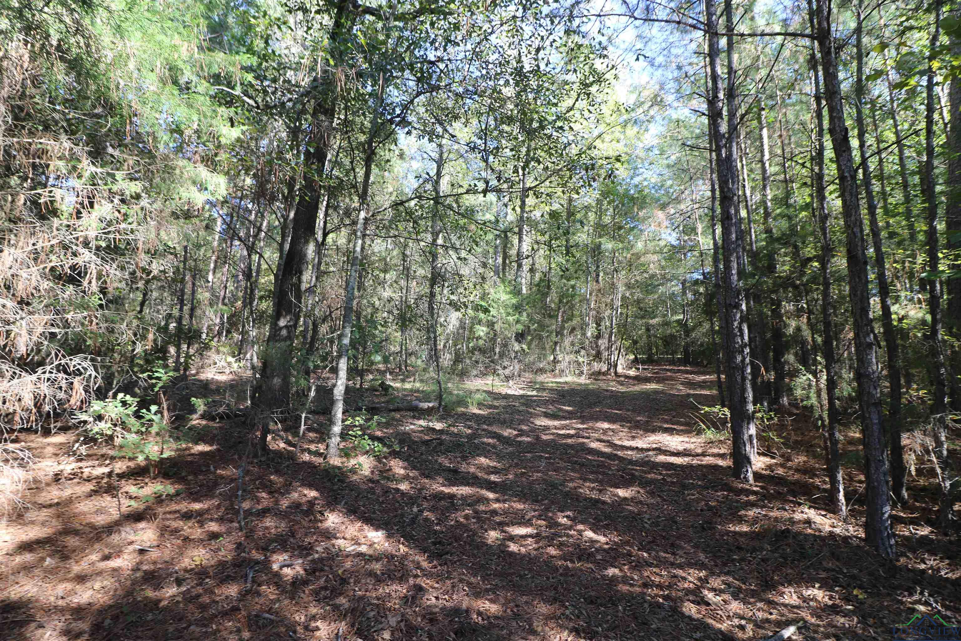 Lot 6 Princess Lane, Gilmer, Texas image 13