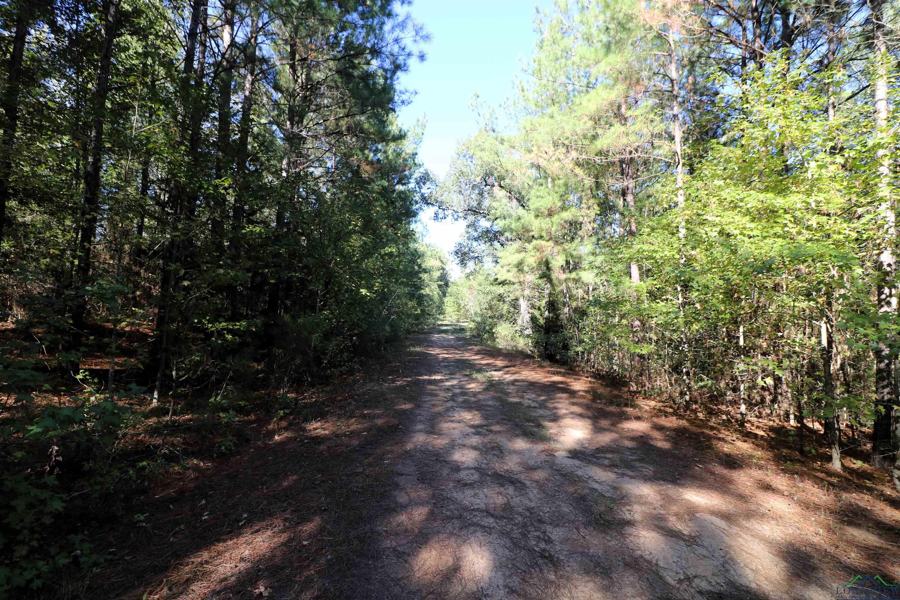 Lot 6 Princess Lane, Gilmer, Texas image 15