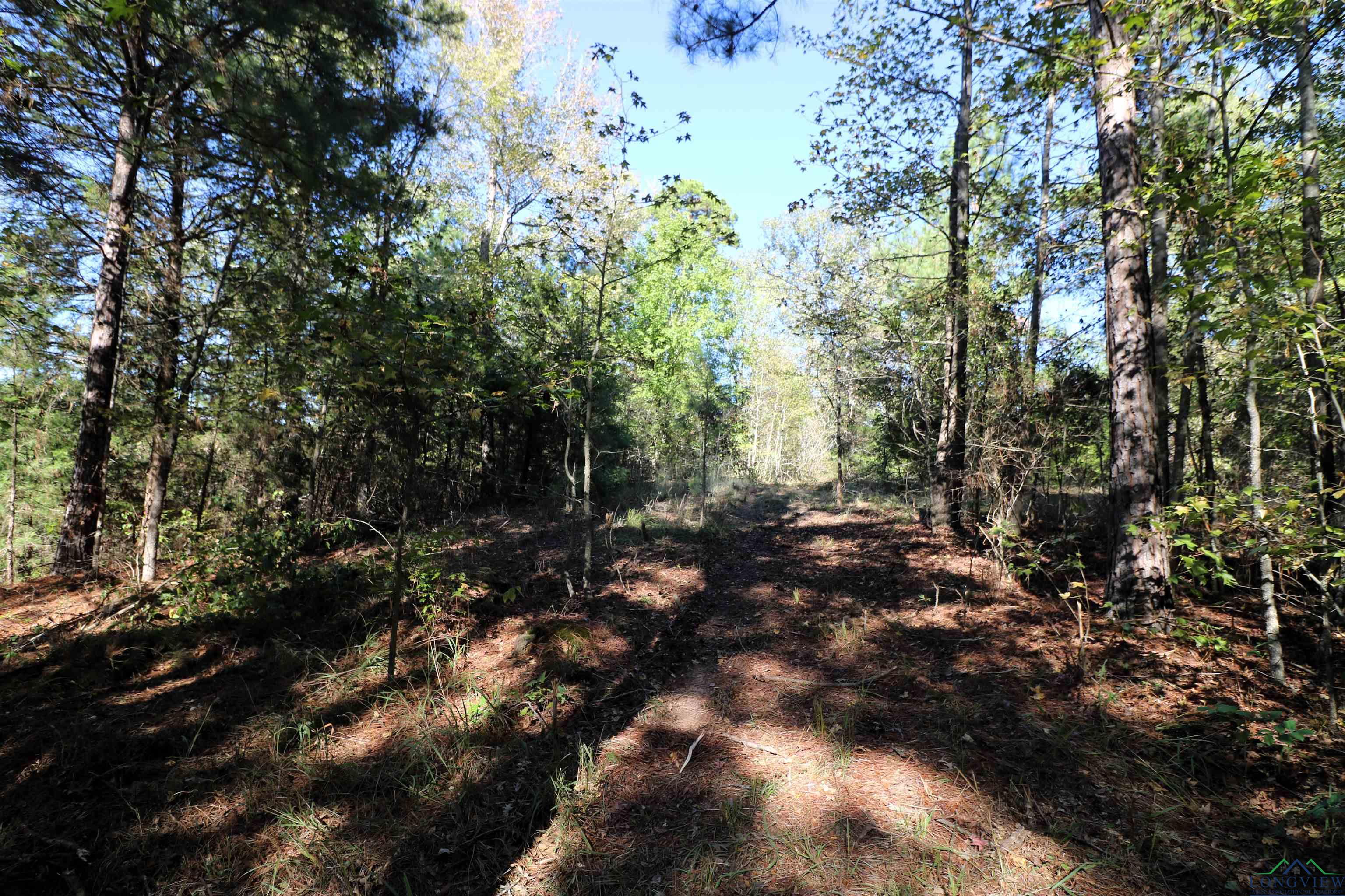 Lot 6 Princess Lane, Gilmer, Texas image 10