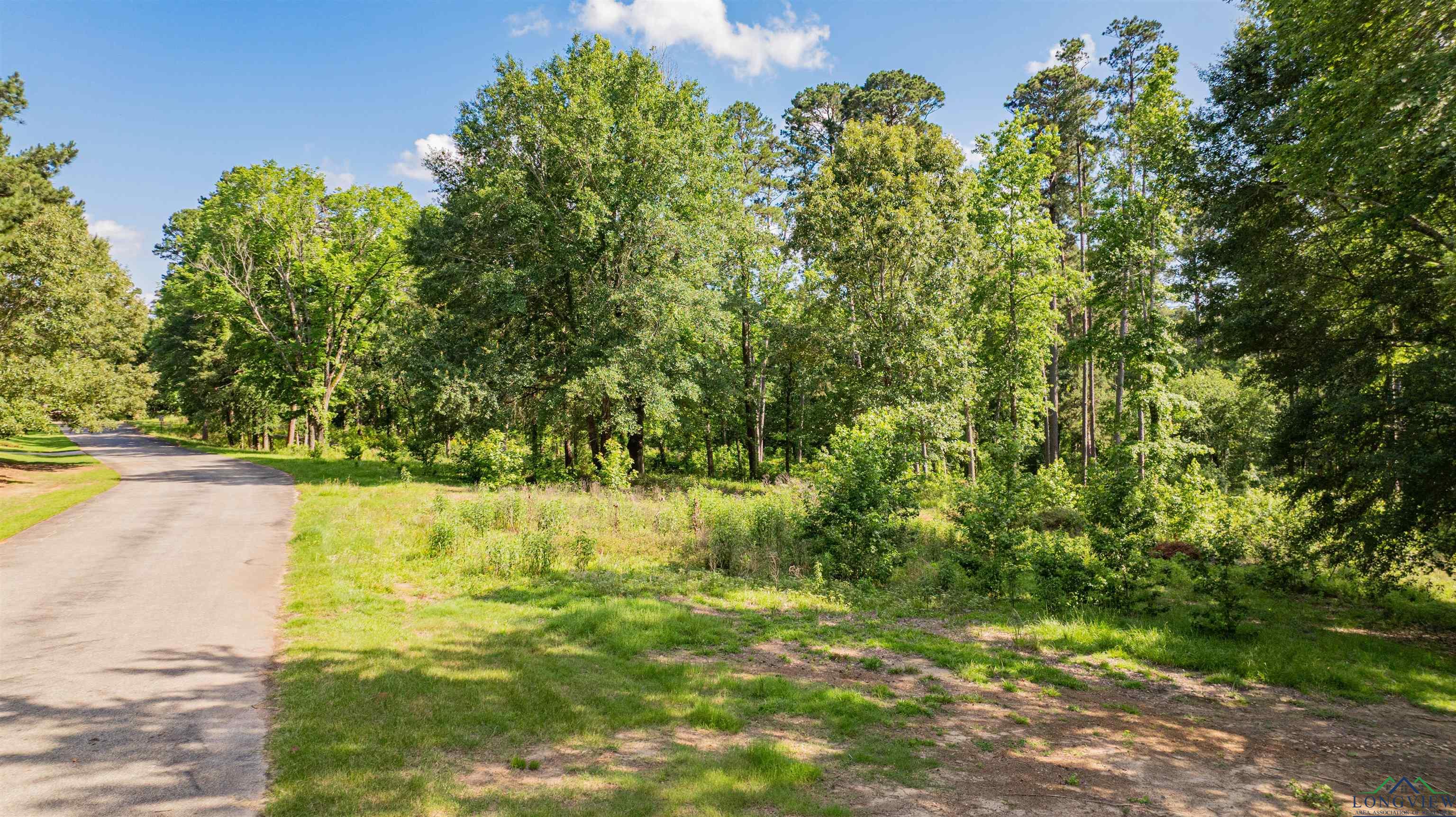 3 Bridle Path, Longview, Texas image 13