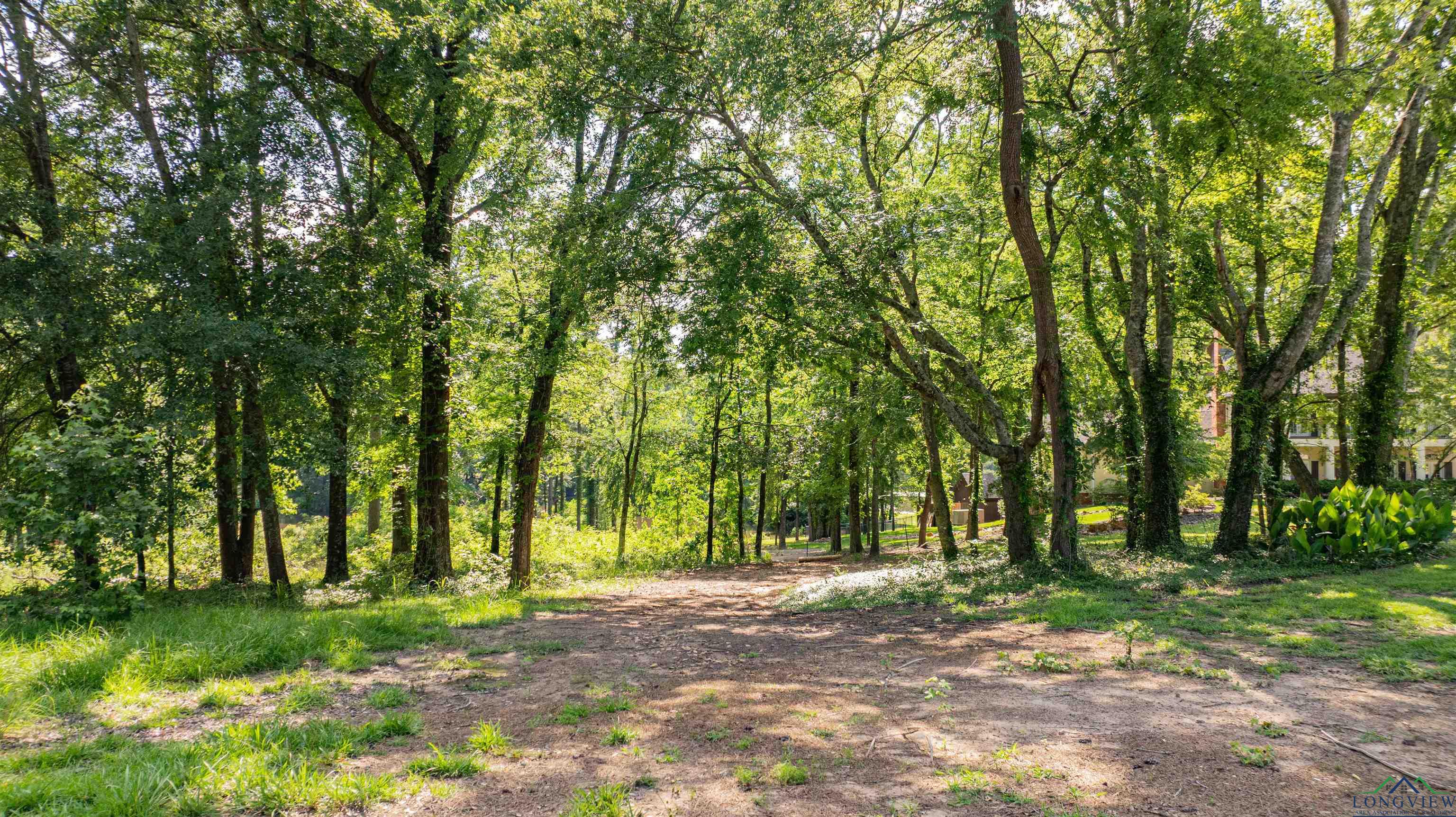 3 Bridle Path, Longview, Texas image 12