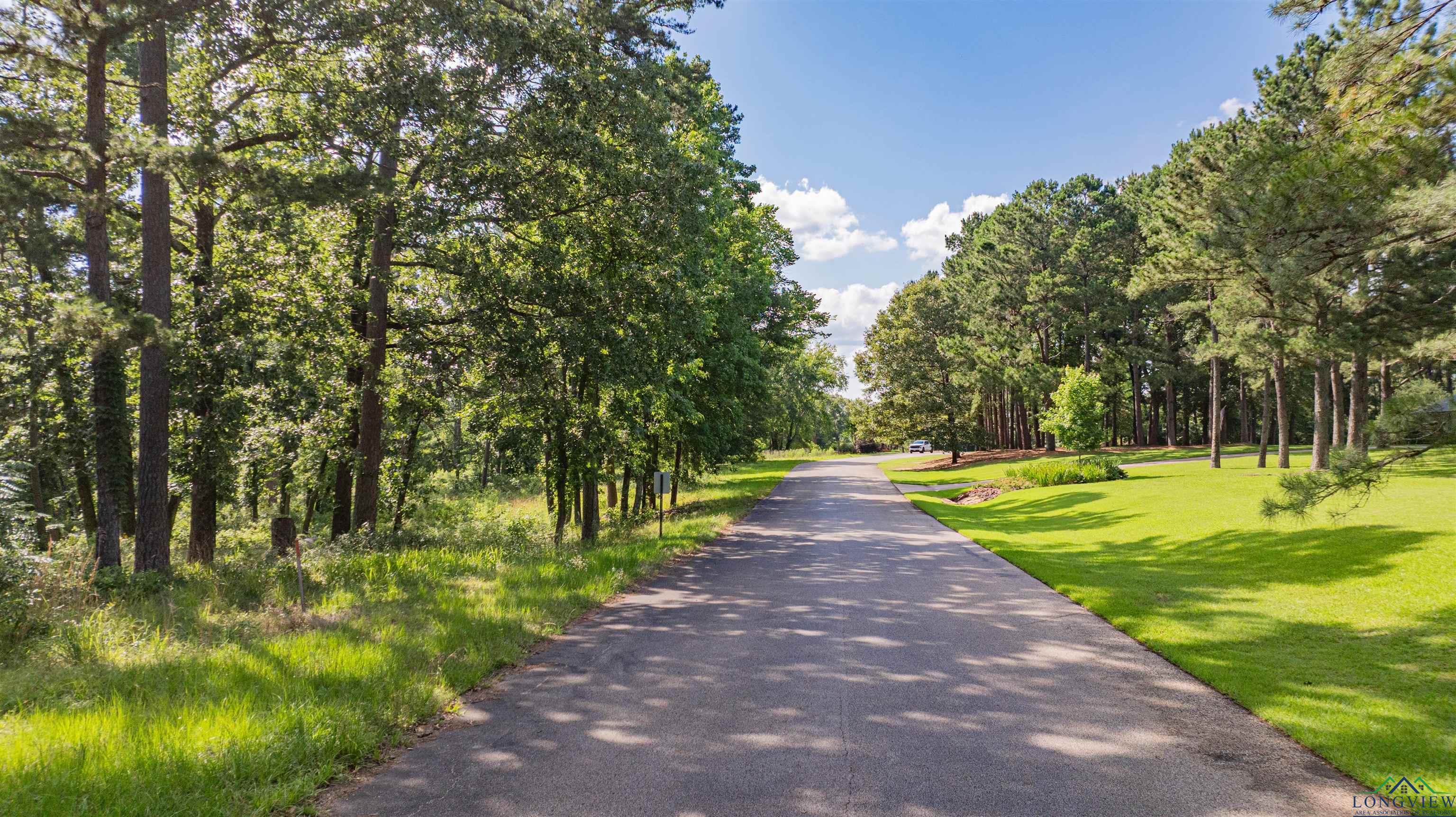 3 Bridle Path, Longview, Texas image 7