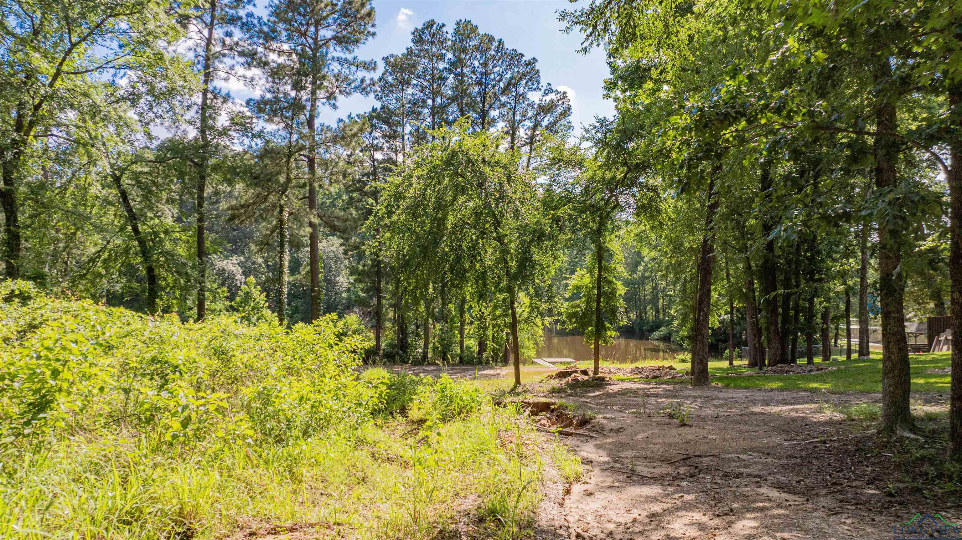 3 Bridle Path, Longview, Texas image 11