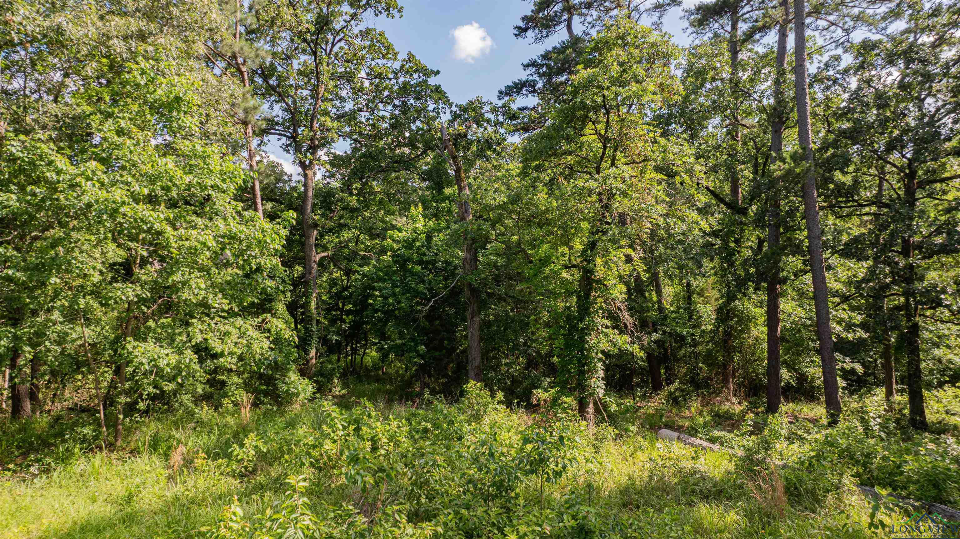 3 Bridle Path, Longview, Texas image 8