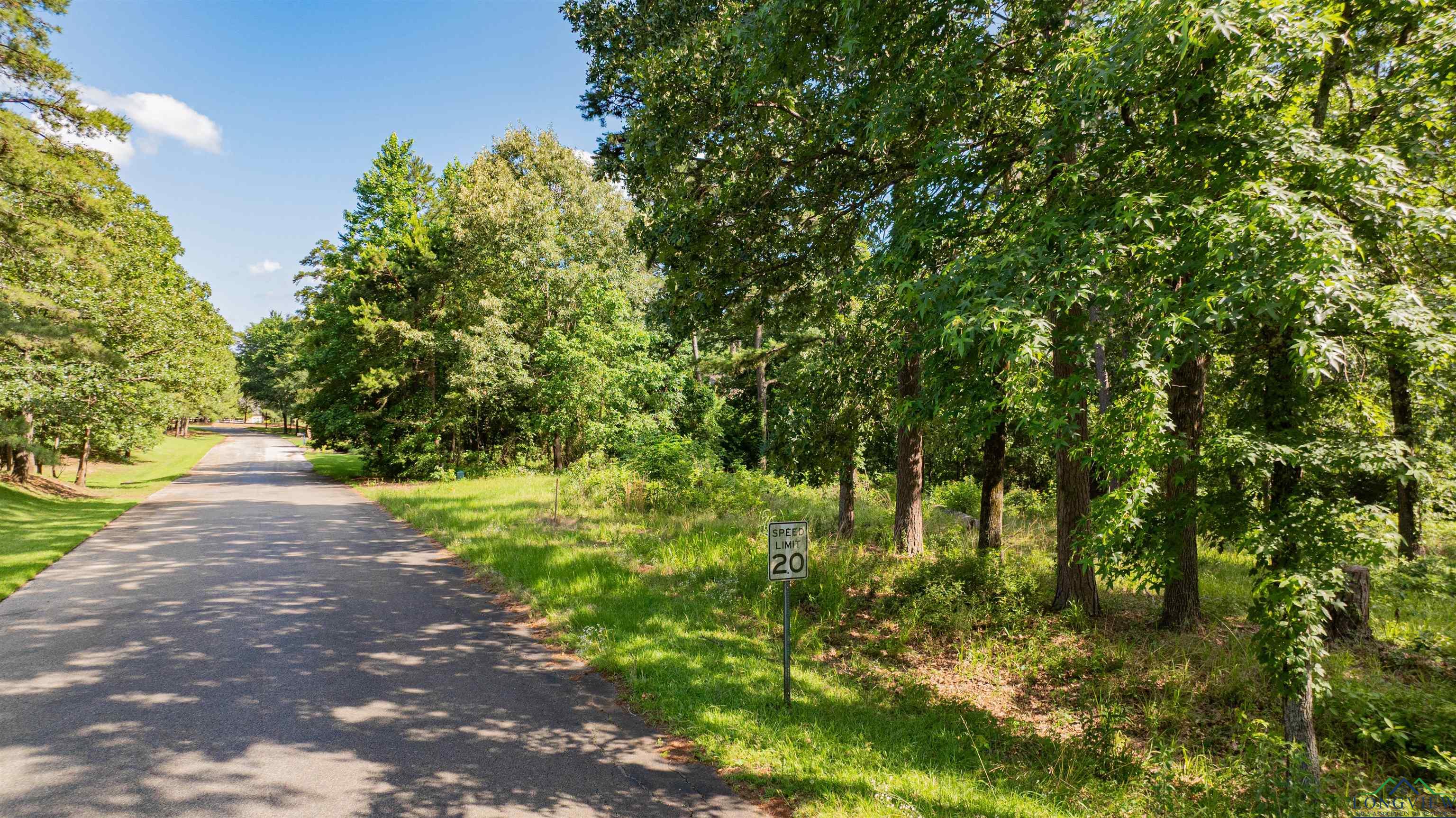 3 Bridle Path, Longview, Texas image 9