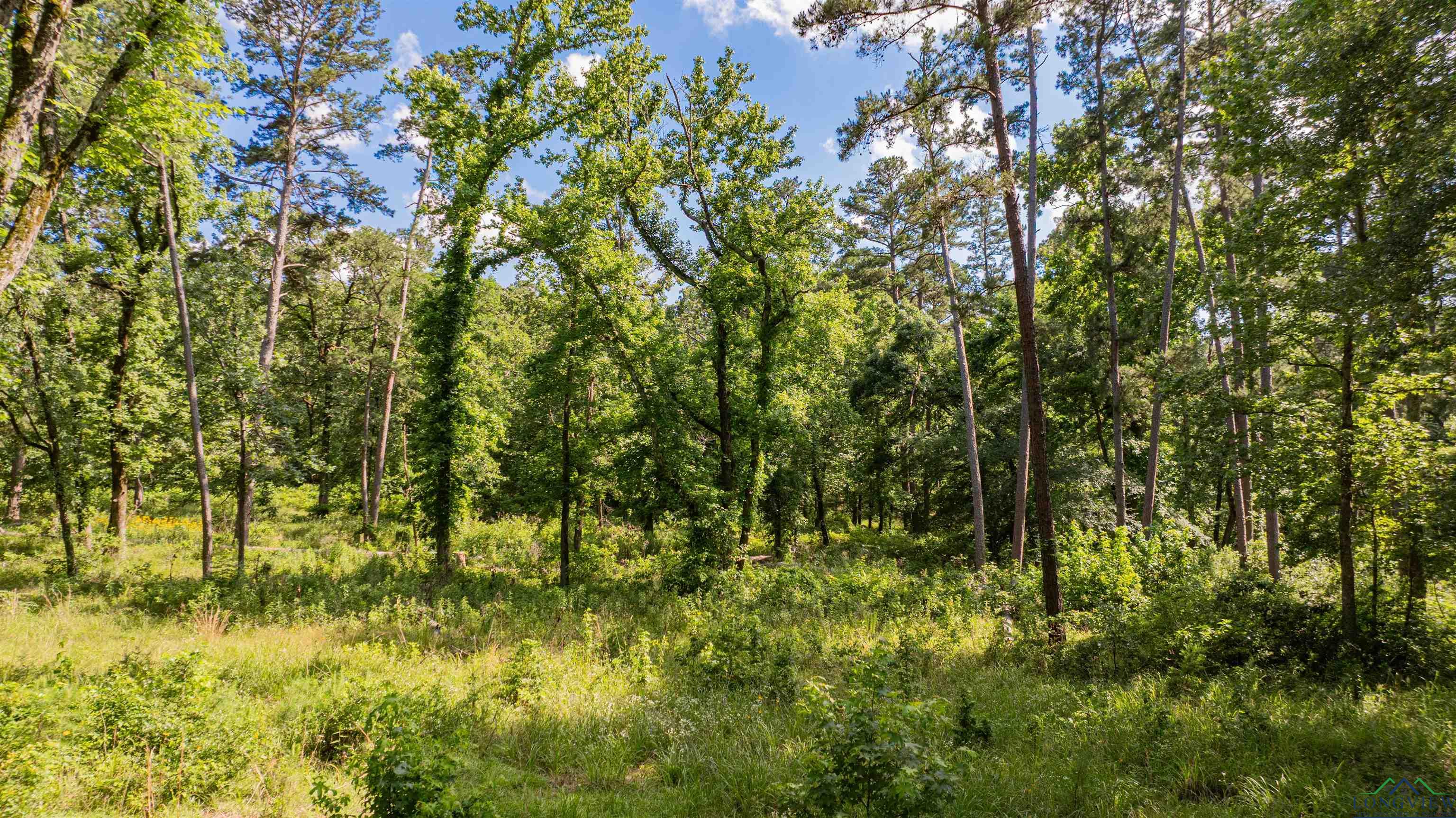 3 Bridle Path, Longview, Texas image 10