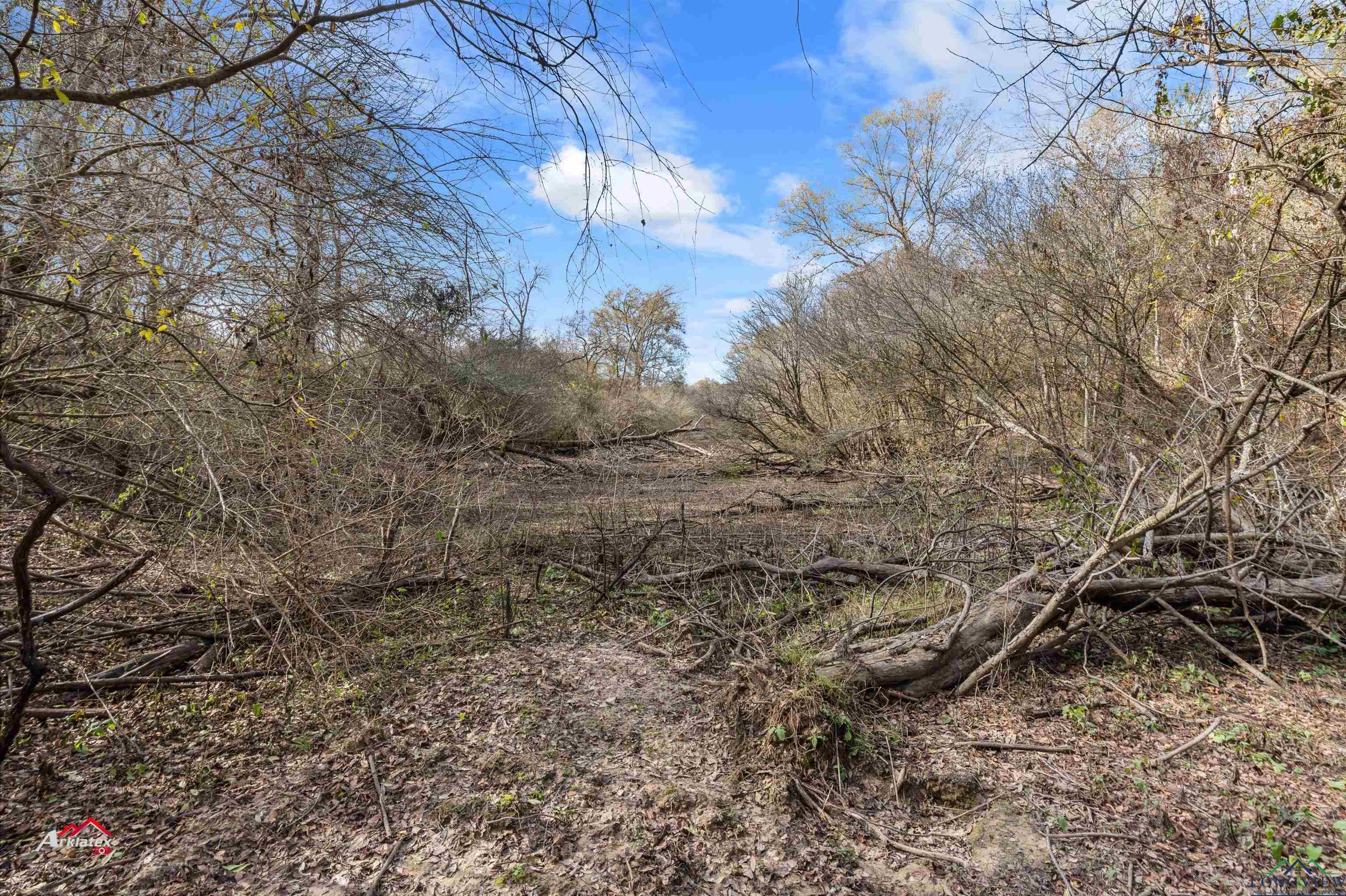 TBD Lyles St, Big Sandy, Texas image 22