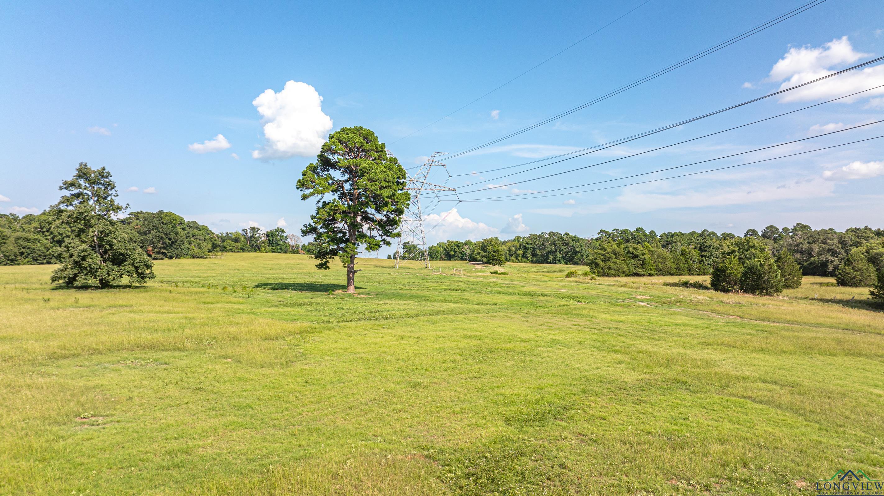 14546 Cr 247, Arp, Texas image 27