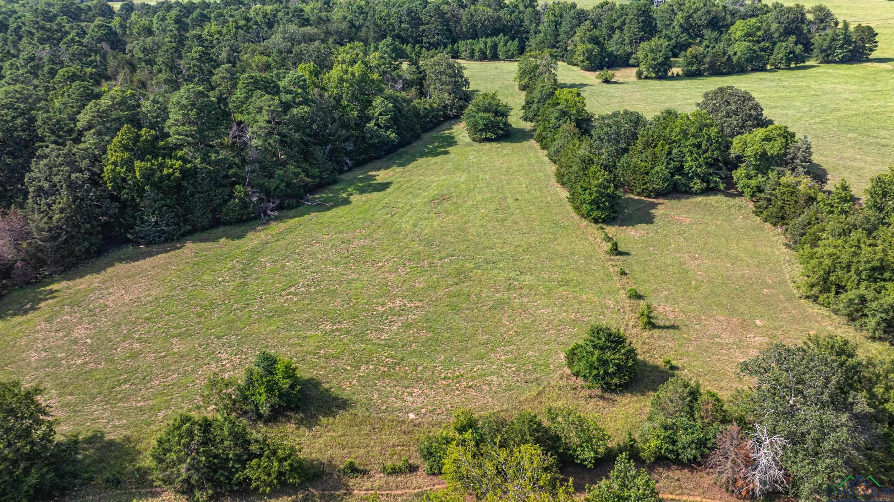 14546 Cr 247, Arp, Texas image 16