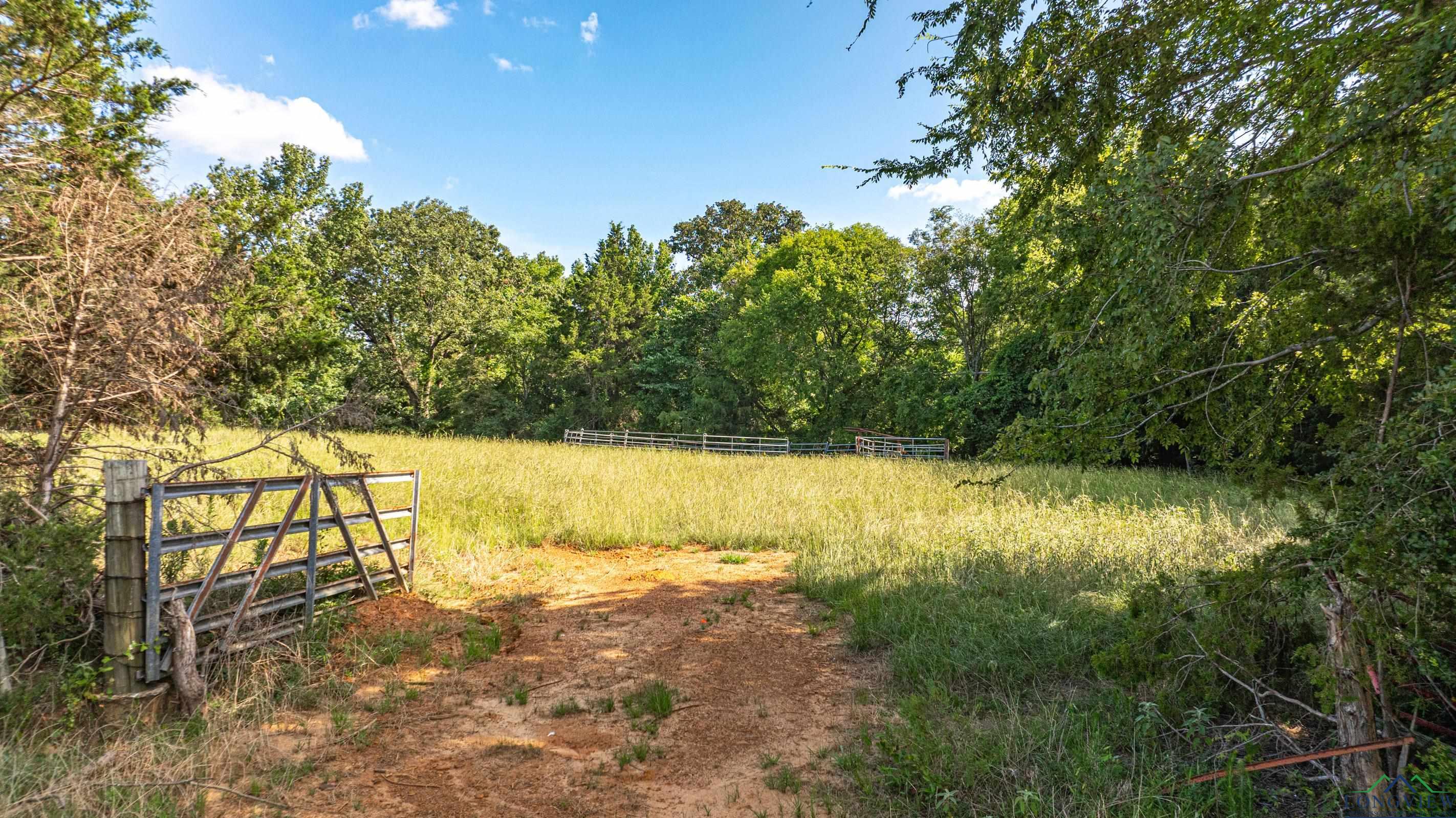 14546 Cr 247, Arp, Texas image 33