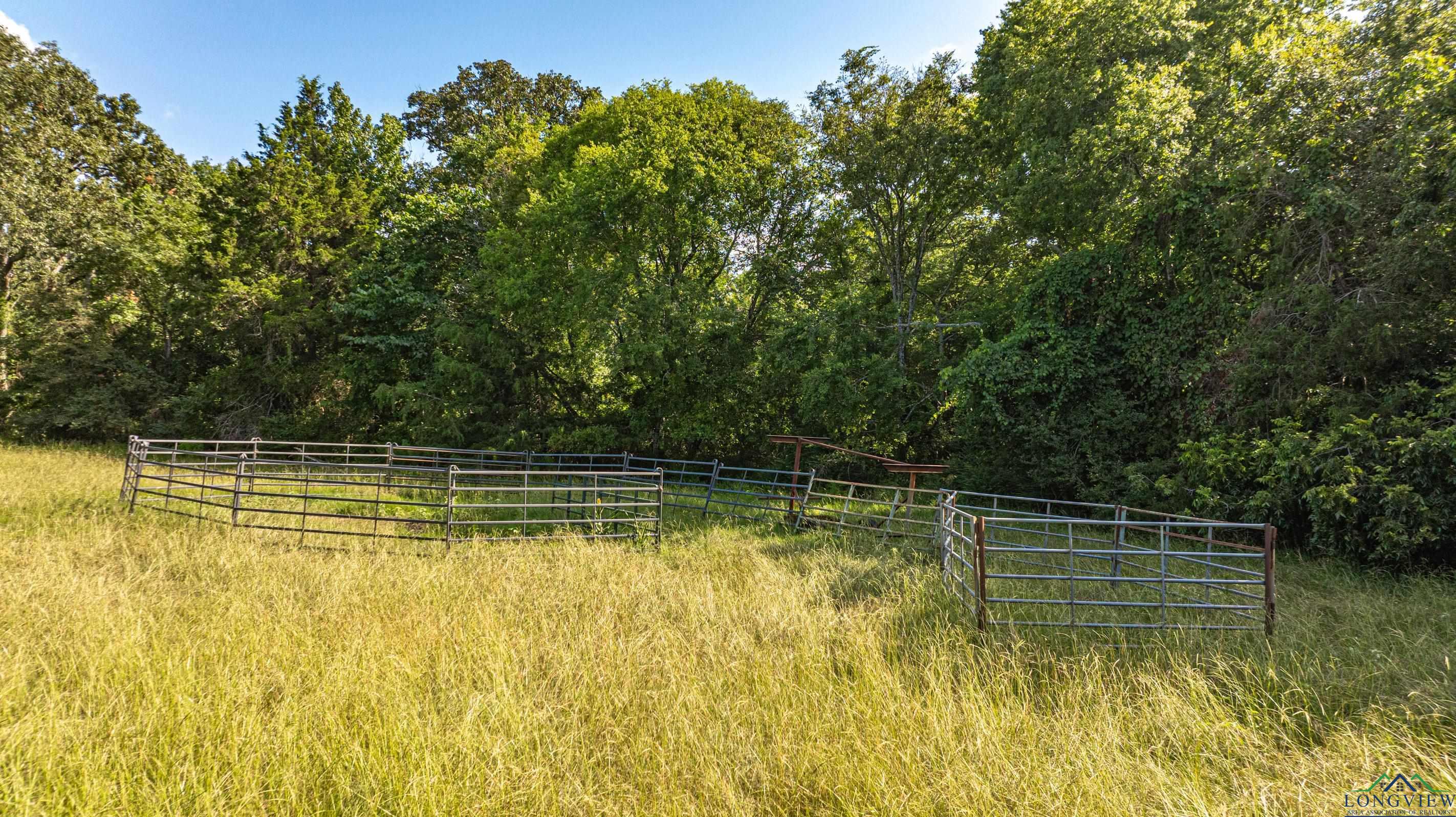 14546 Cr 247, Arp, Texas image 19