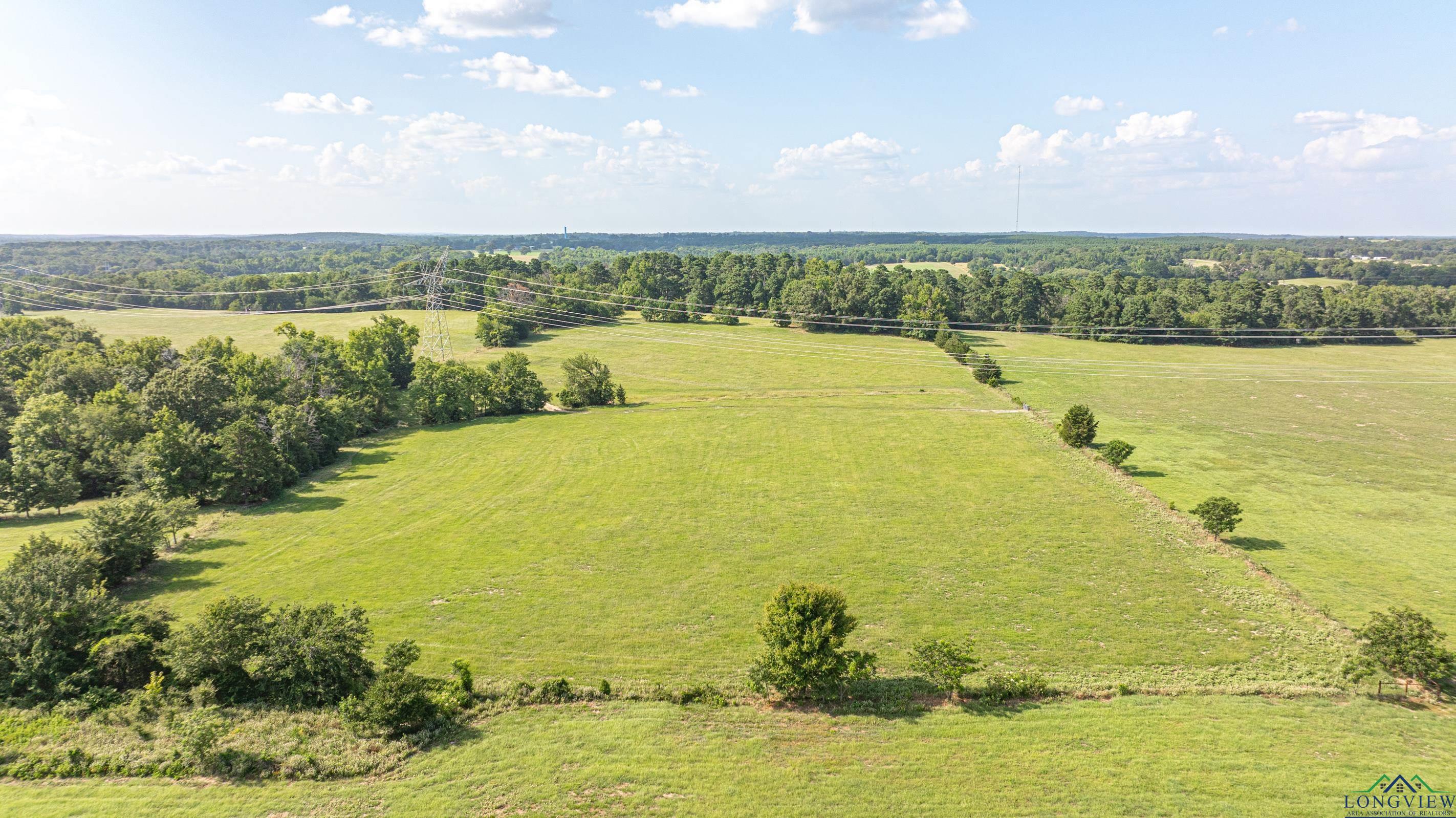 14546 Cr 247, Arp, Texas image 8