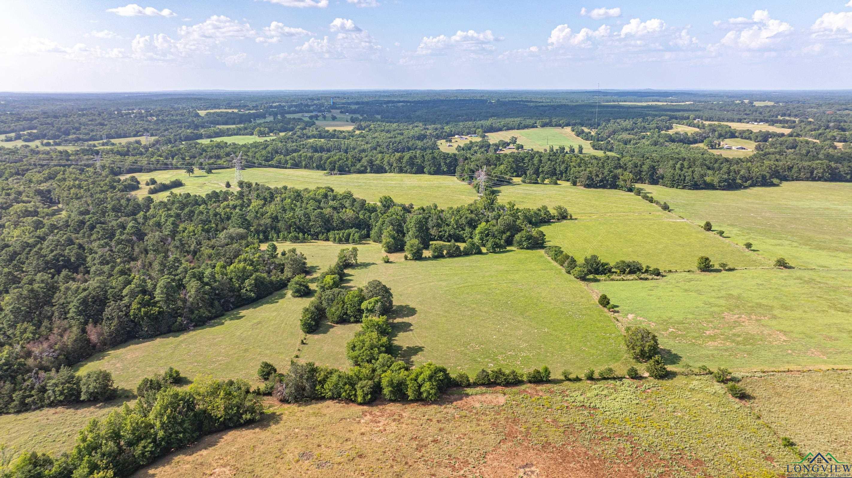 14546 Cr 247, Arp, Texas image 9