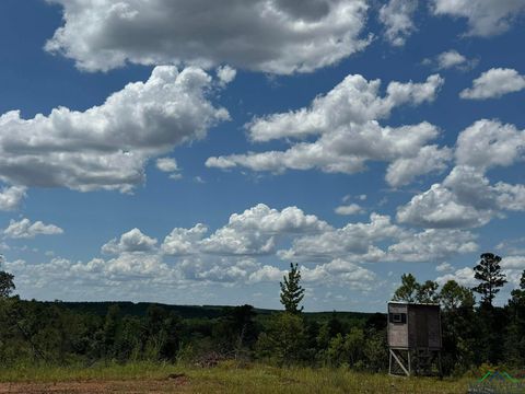 Vacant Land For Sale - TBD Cr 1606<br/> Cass County, Linden, TX 75563