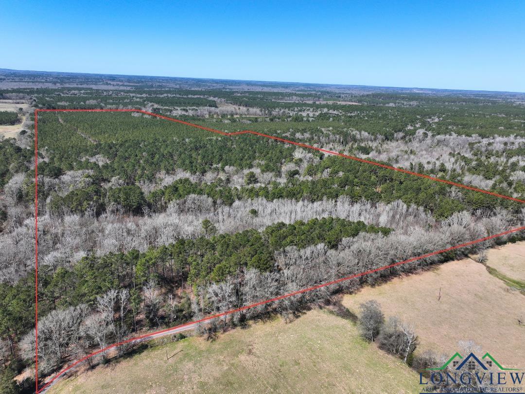 TBD Cr 1453, Linden, Texas image 17