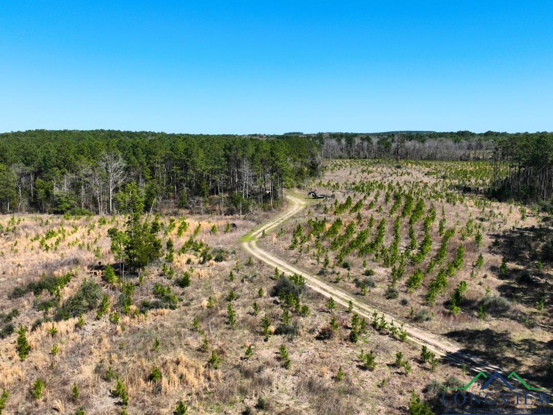 TBD Cr 1453, Linden, Texas image 6