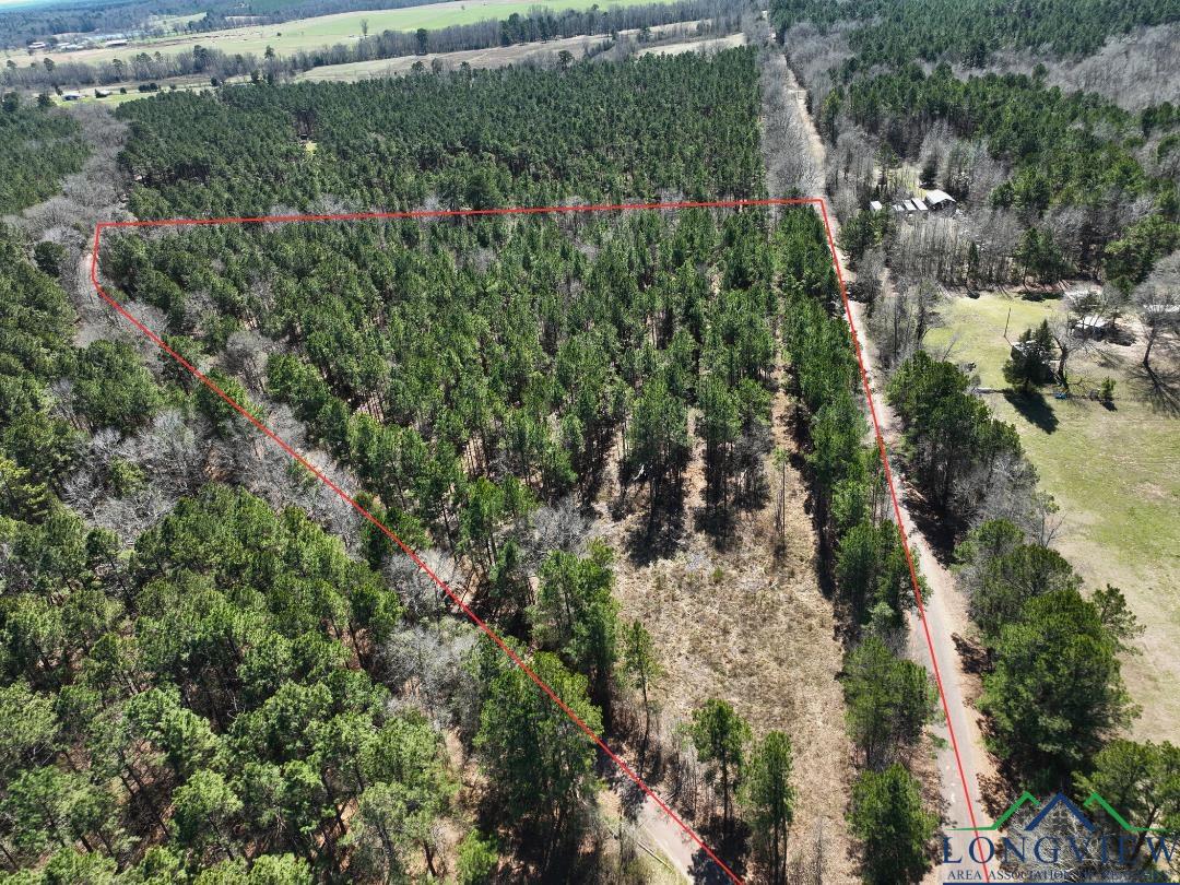 TBD Cr 1453, Linden, Texas image 18