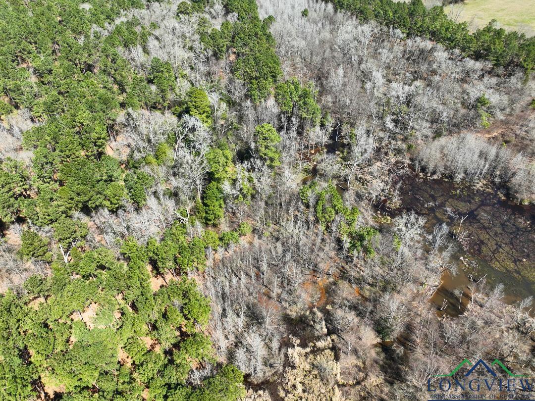 TBD Cr 1453, Linden, Texas image 13
