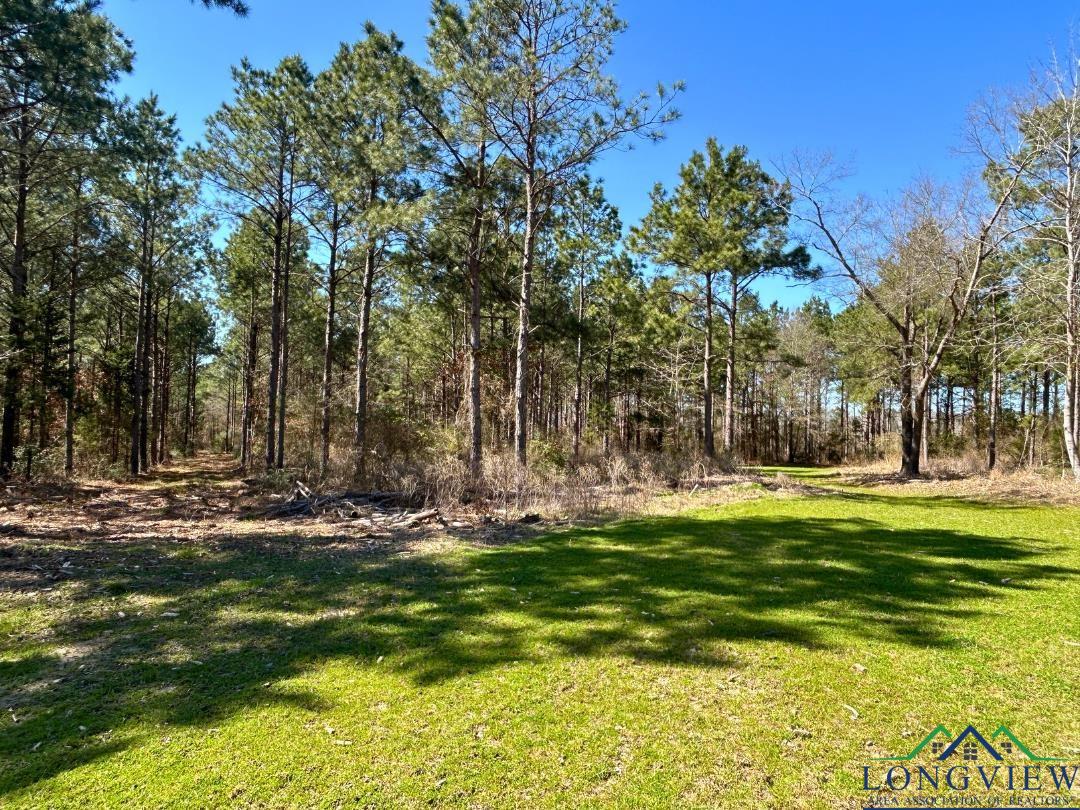 TBD Cr 1453, Linden, Texas image 15