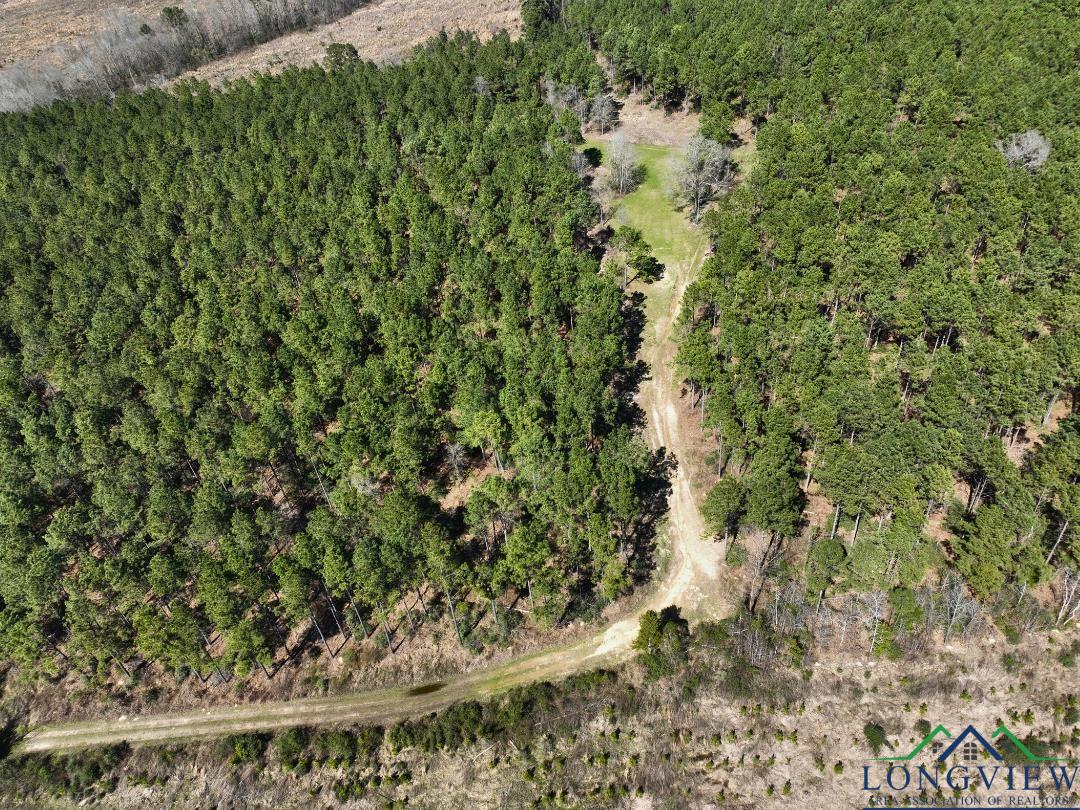 TBD Cr 1453, Linden, Texas image 14