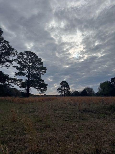 Vacant Land For Sale - 235 Cr 3261<br/> Panola County, De Berry, TX 75639