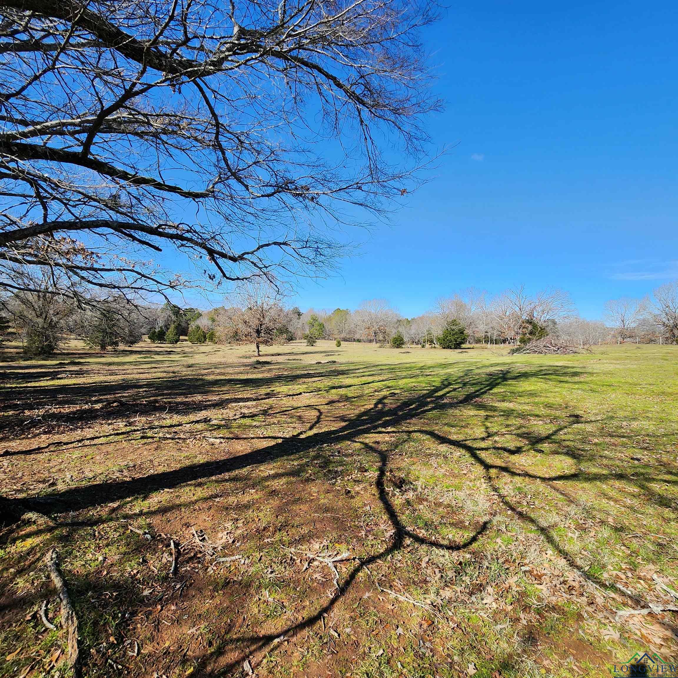 214 County Road 4413, Jacksonville, Texas image 7