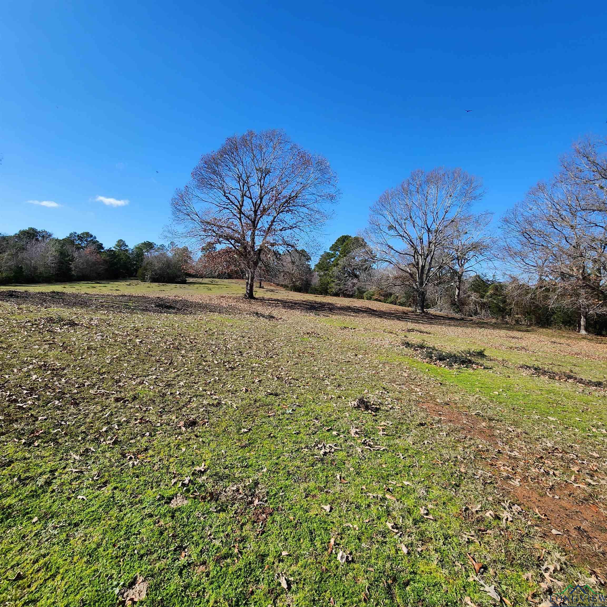 214 County Road 4413, Jacksonville, Texas image 9