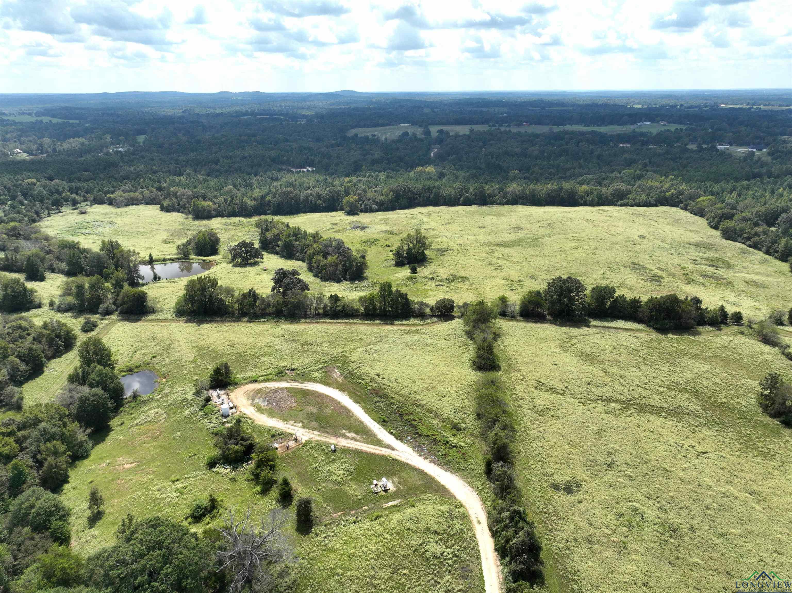 TBD Floyd Road Access, Gilmer, Texas image 5