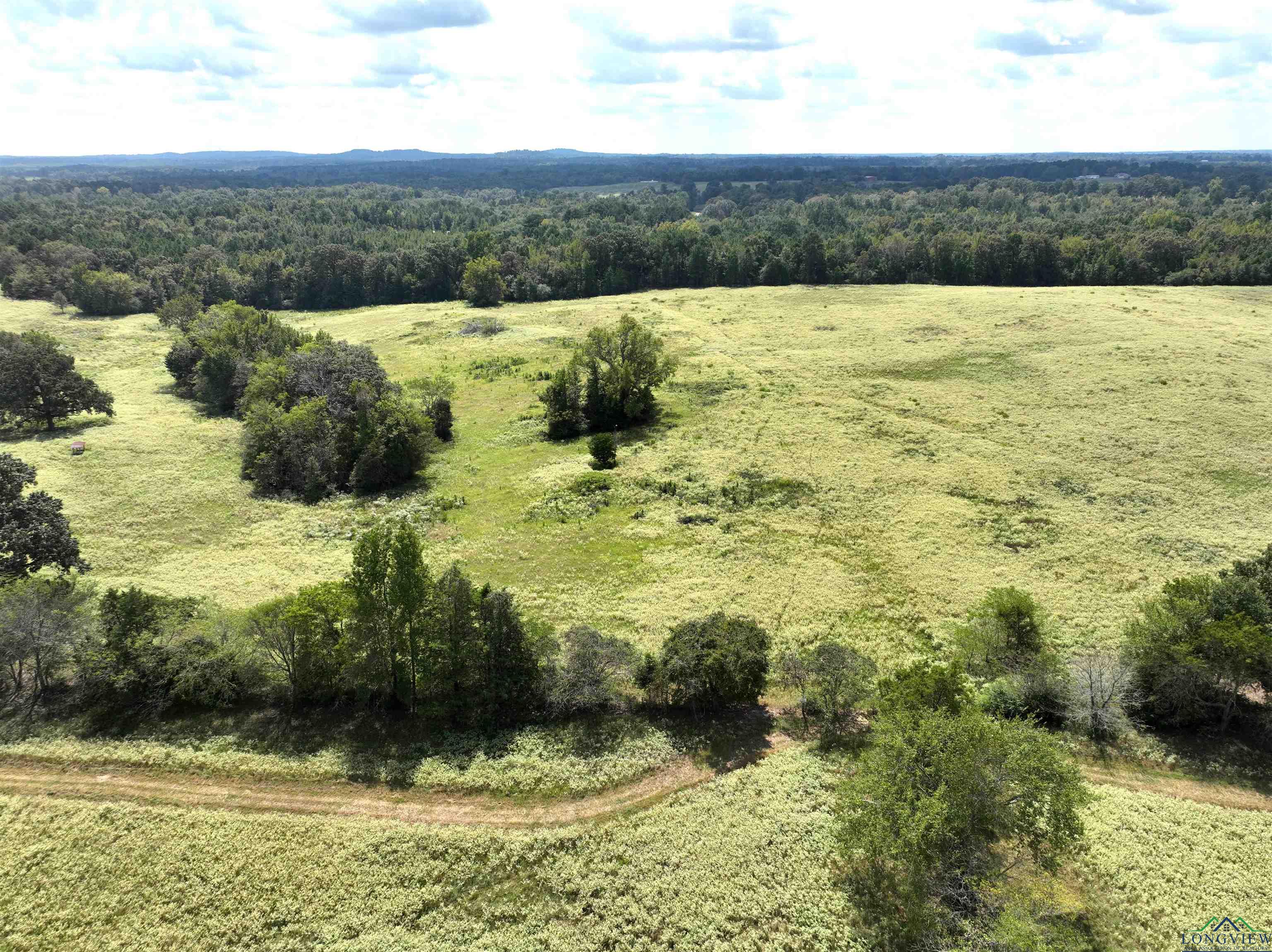 TBD Floyd Road Access, Gilmer, Texas image 2