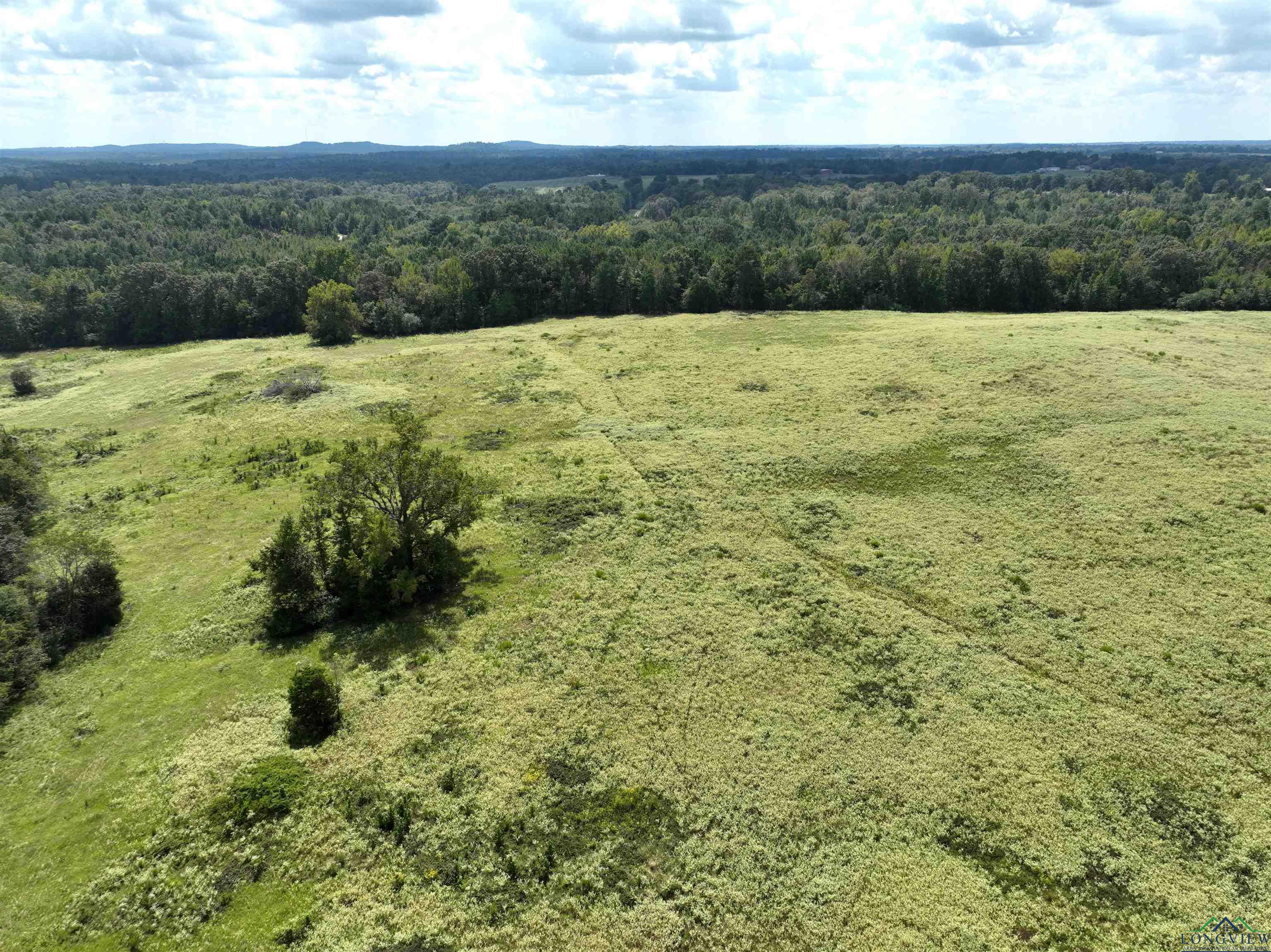 TBD Floyd Road Access, Gilmer, Texas image 3