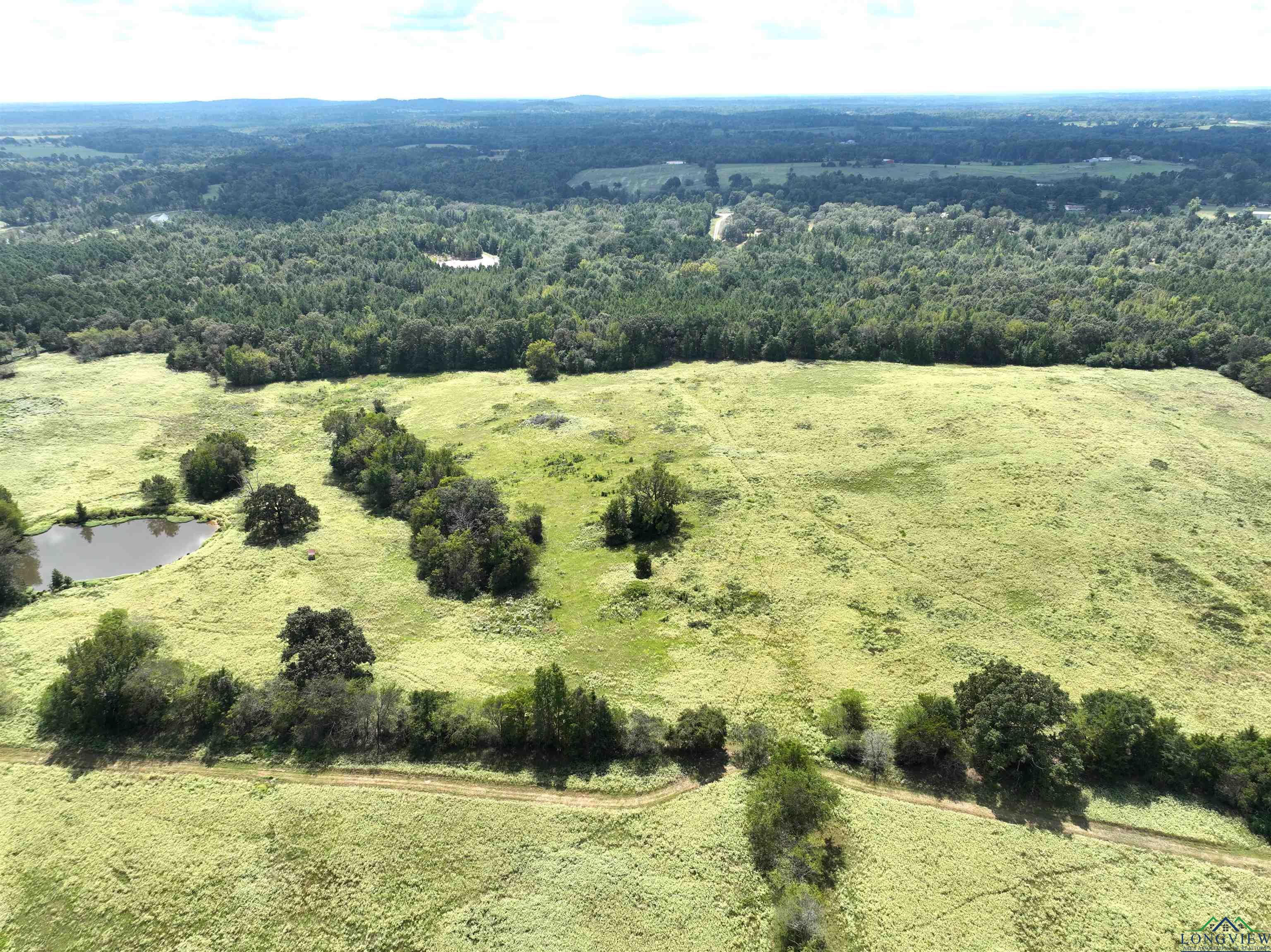 TBD Floyd Road Access, Gilmer, Texas image 4