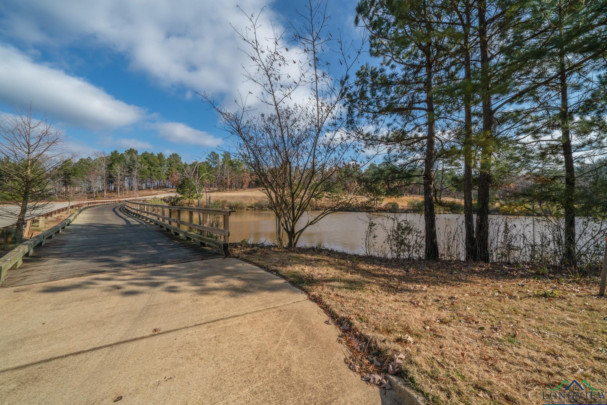 265 Magnolia Ln, Gladewater, Texas image 46