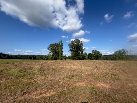 Vacant Land For Sale - TBD Lot 5 Falcon View<br/> Diana, TX 75640