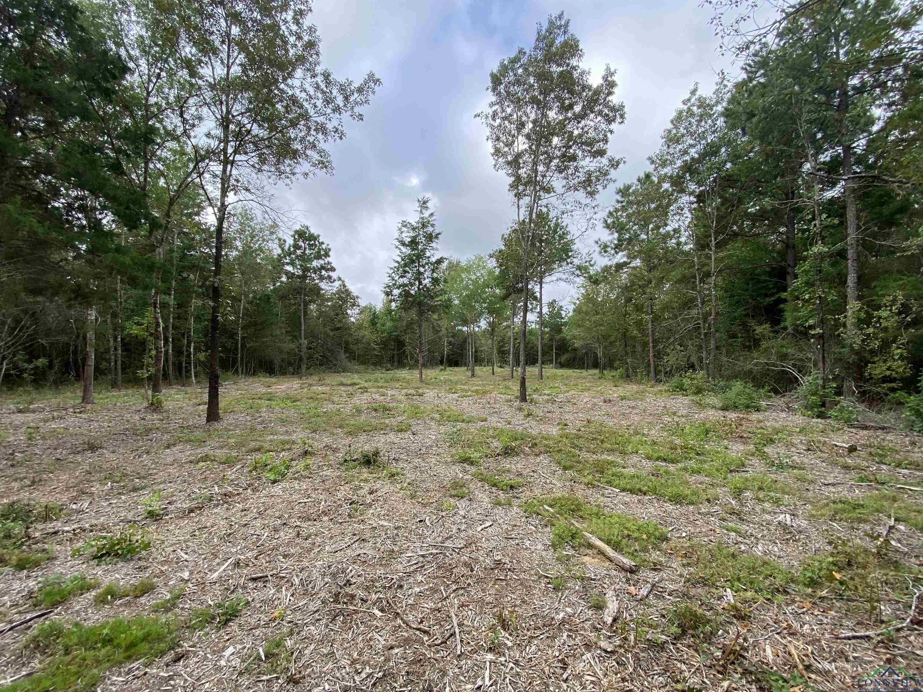 TBD Cr 1769, Linden, Texas image 18